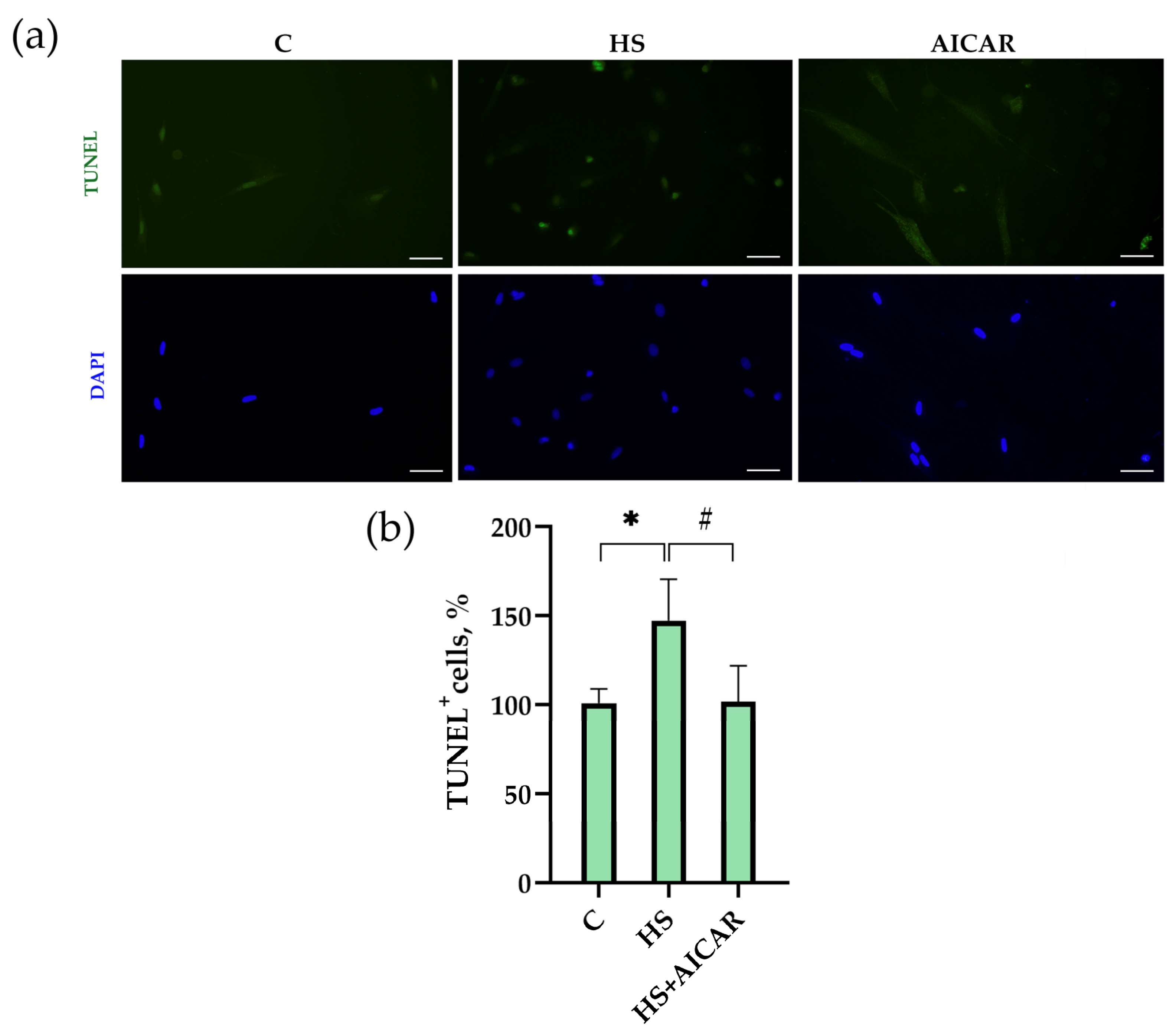 Cells 12 00920 g003 Cells 12 00920 g003