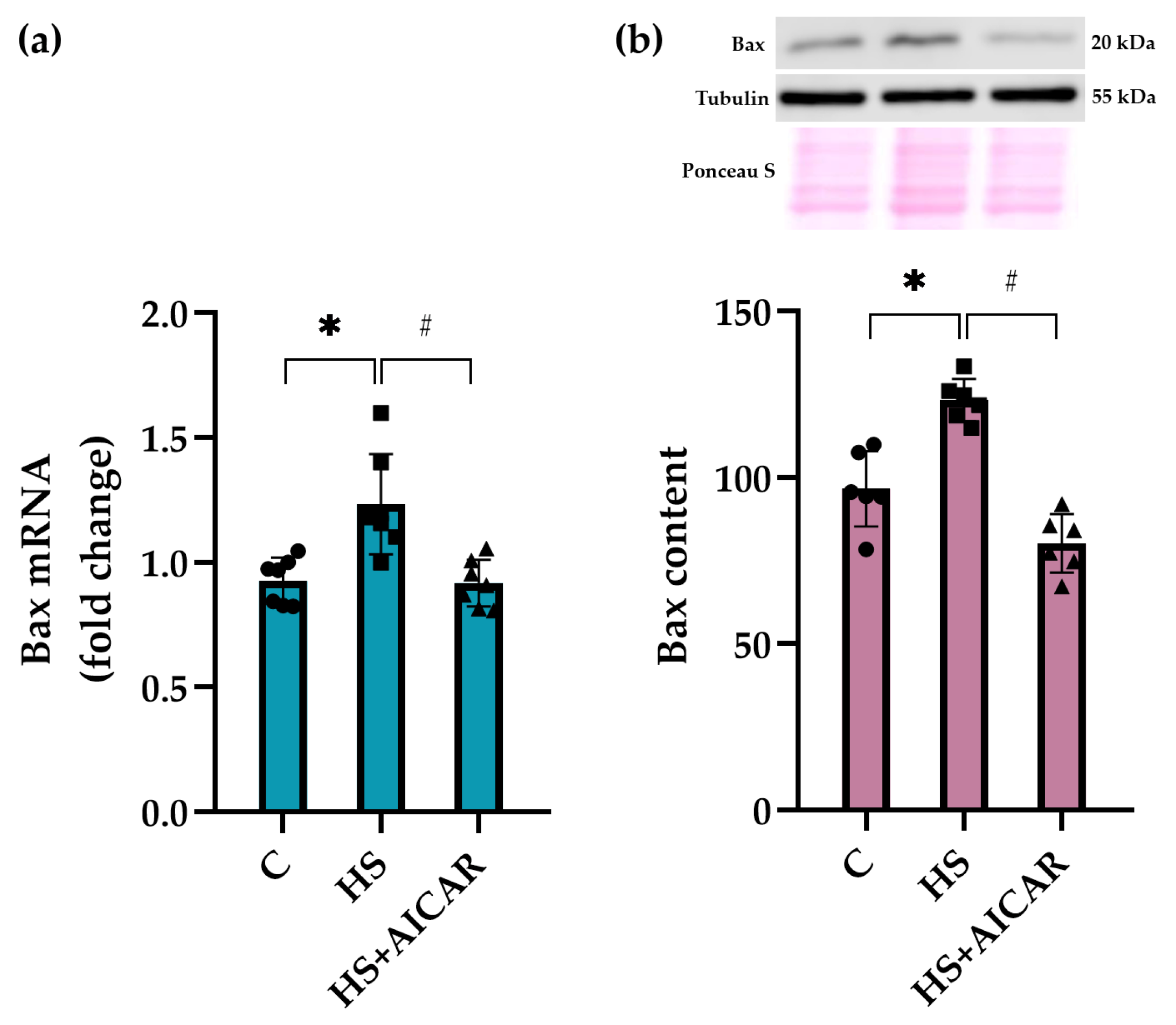 Cells 12 00920 g005 Cells 12 00920 g005