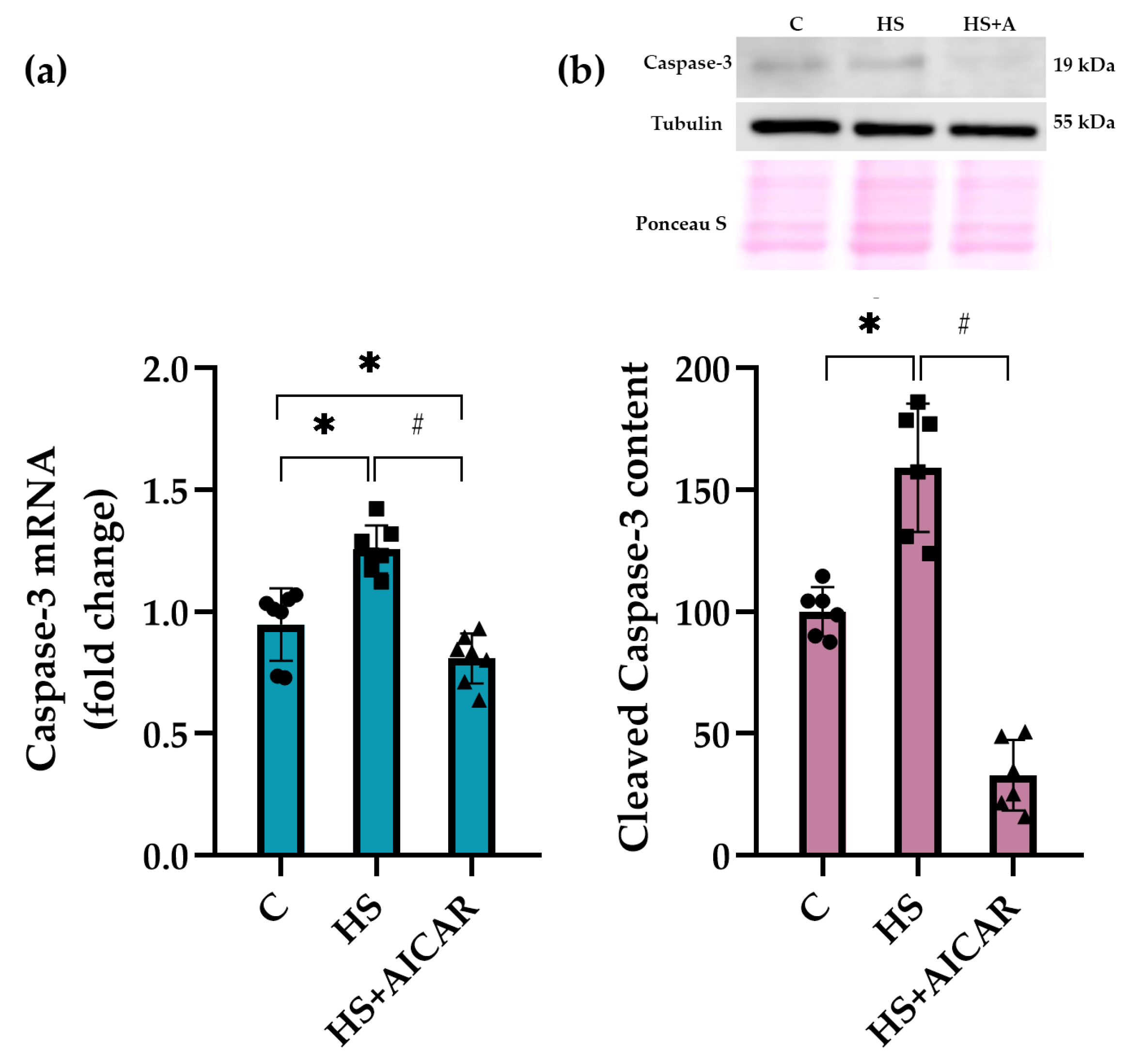 Cells 12 00920 g006 Cells 12 00920 g006