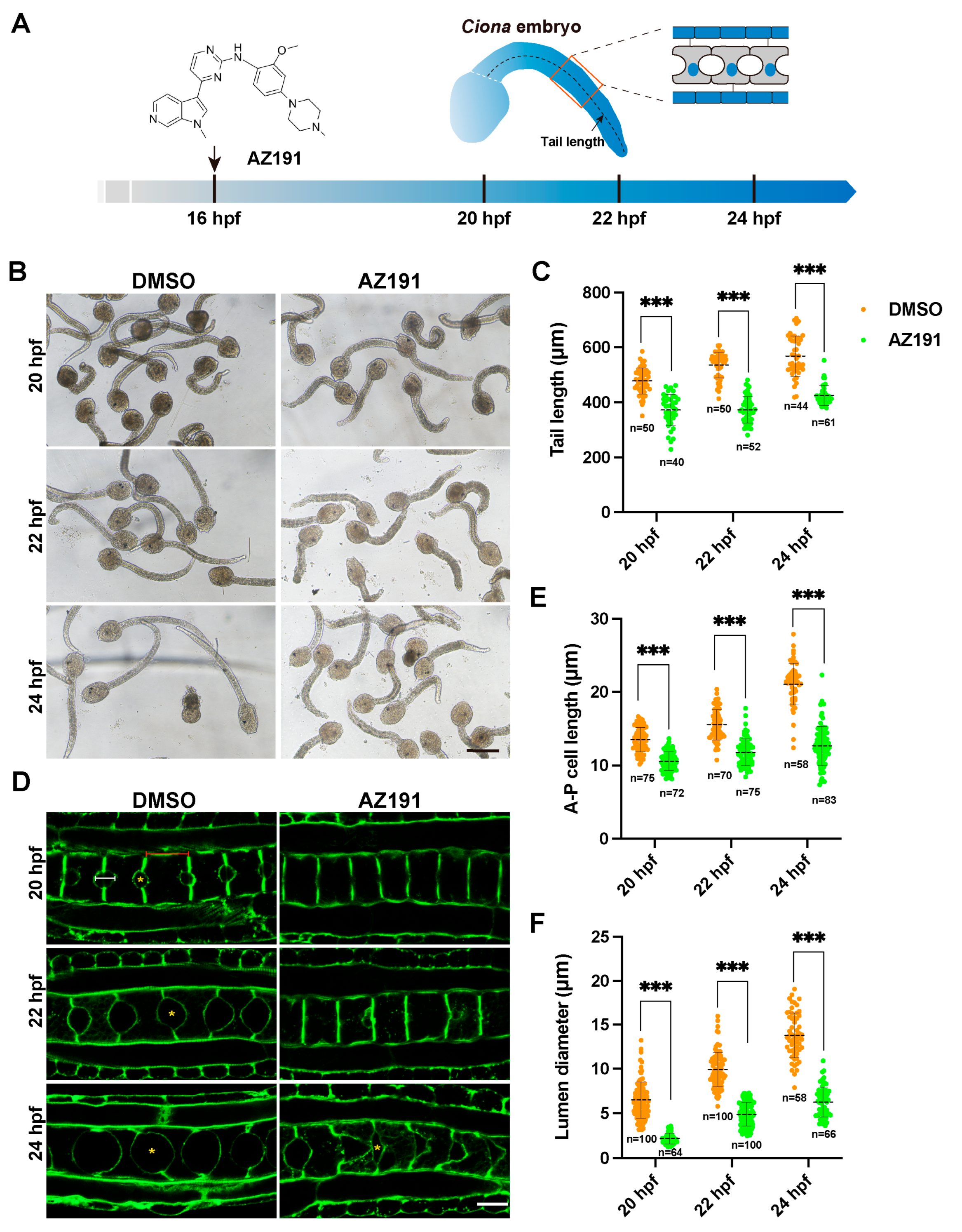 Cells 12 00921 g001 Cells 12 00921 g001