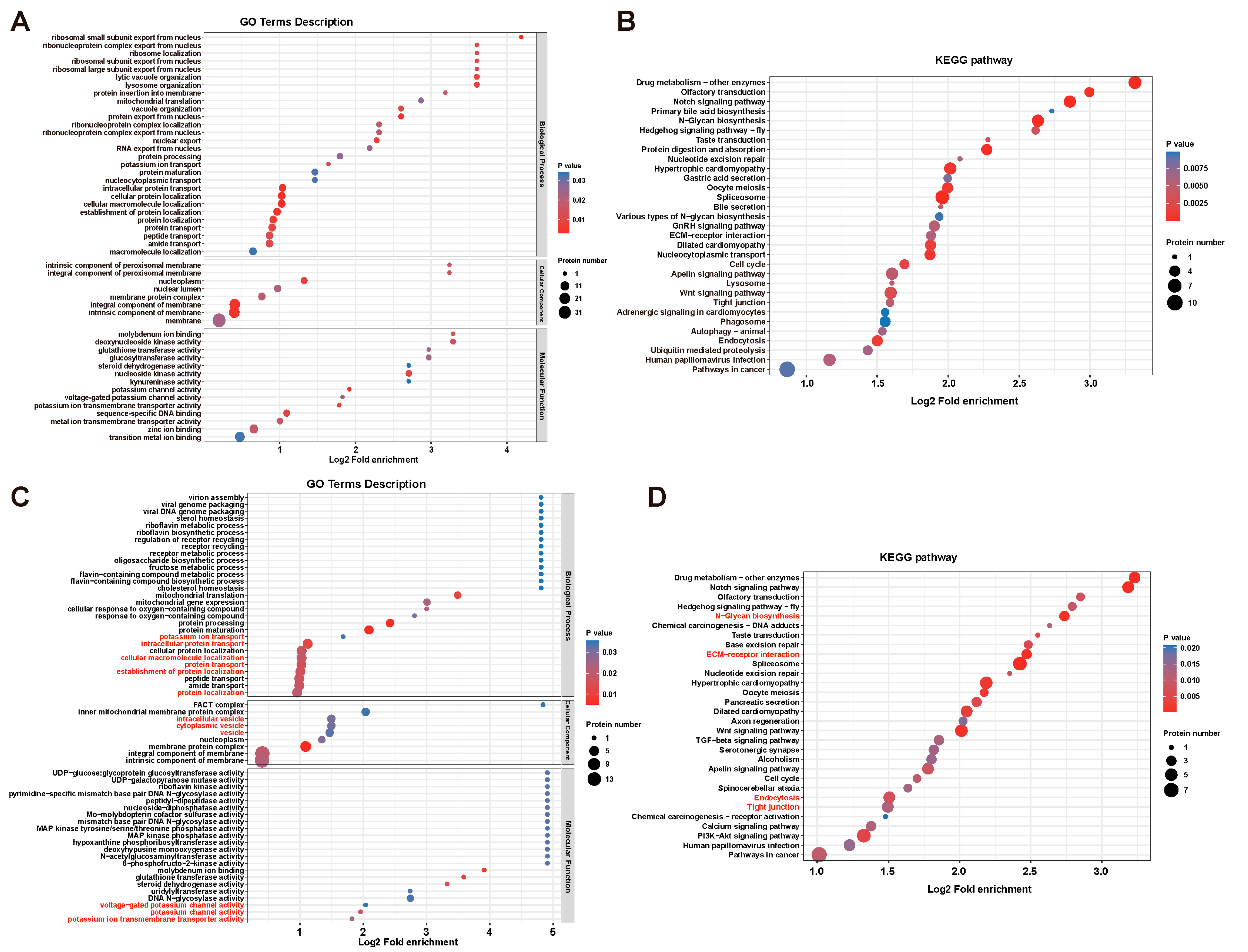 Cells 12 00921 g003 Cells 12 00921 g003