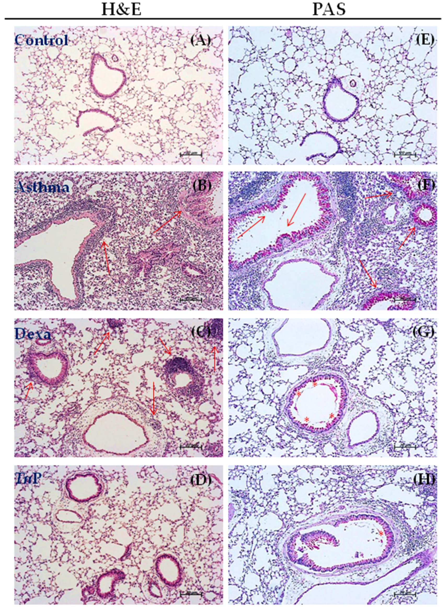 Cells 12 00924 g002 Cells 12 00924 g002