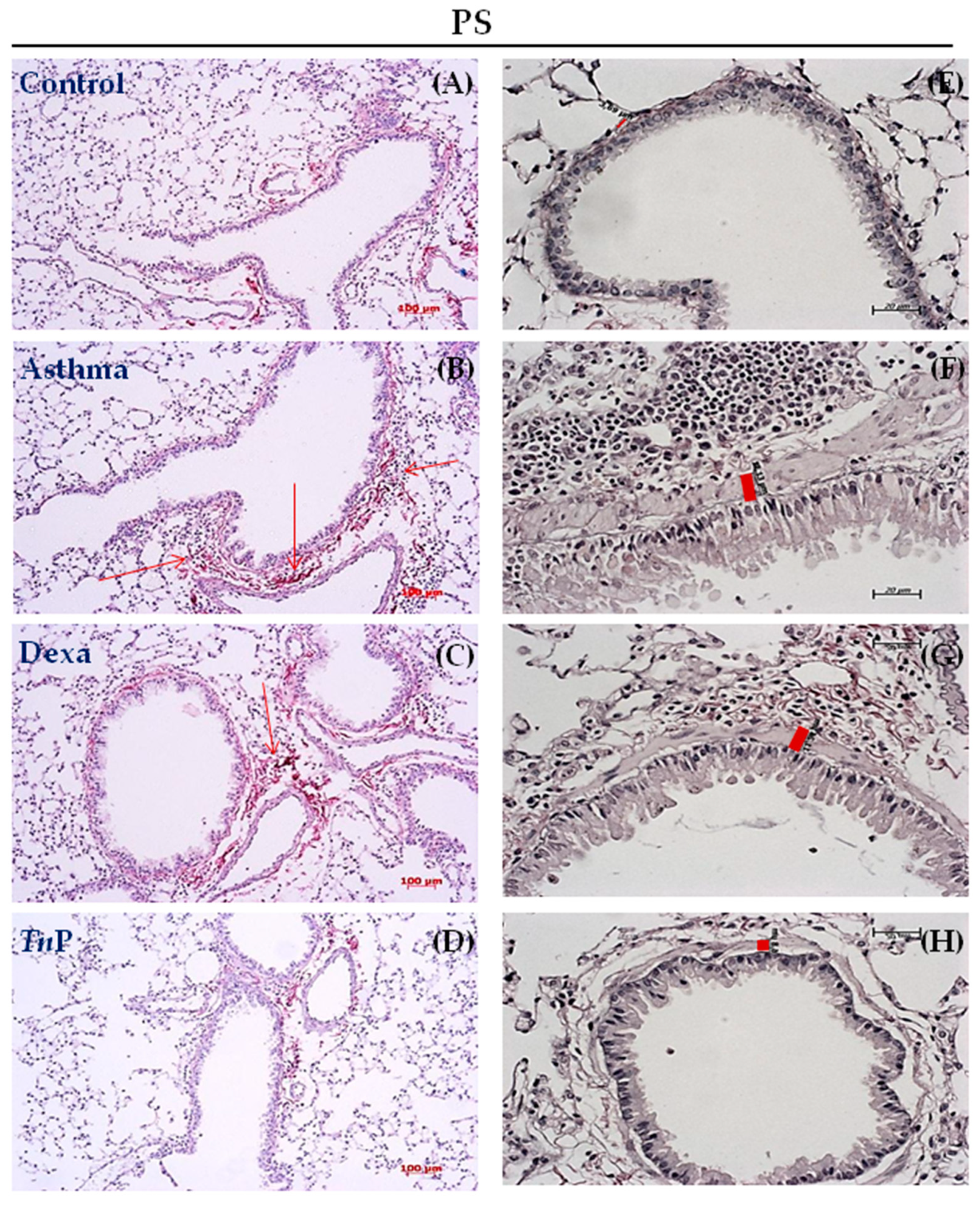 Cells 12 00924 g003 Cells 12 00924 g003