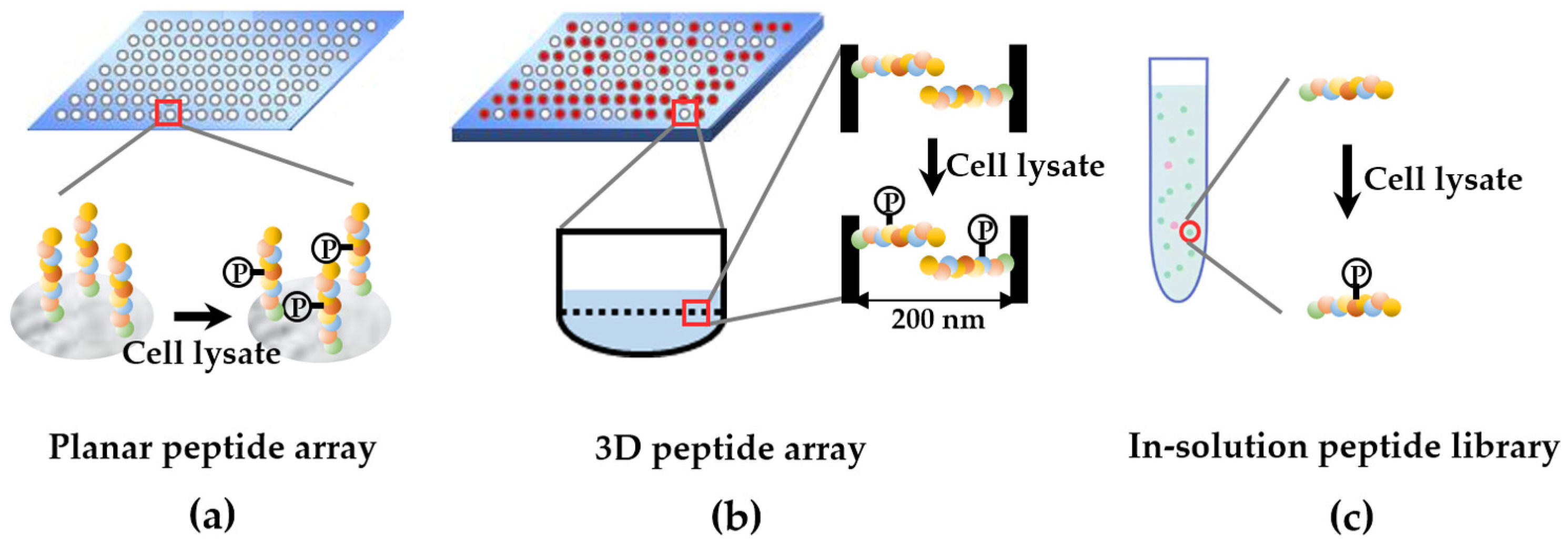 Cells 12 00925 g002 Cells 12 00925 g002