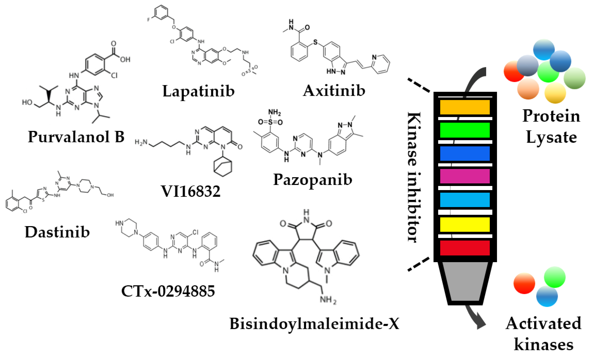Cells 12 00925 g003 Cells 12 00925 g003