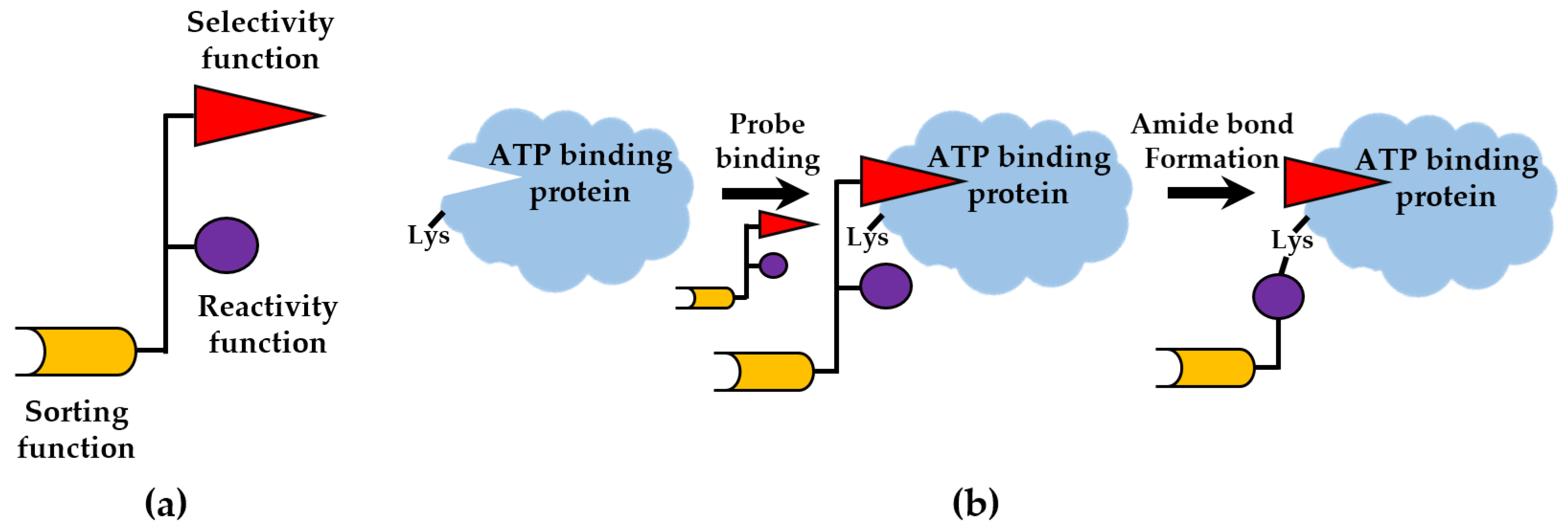 Cells 12 00925 g004 Cells 12 00925 g004