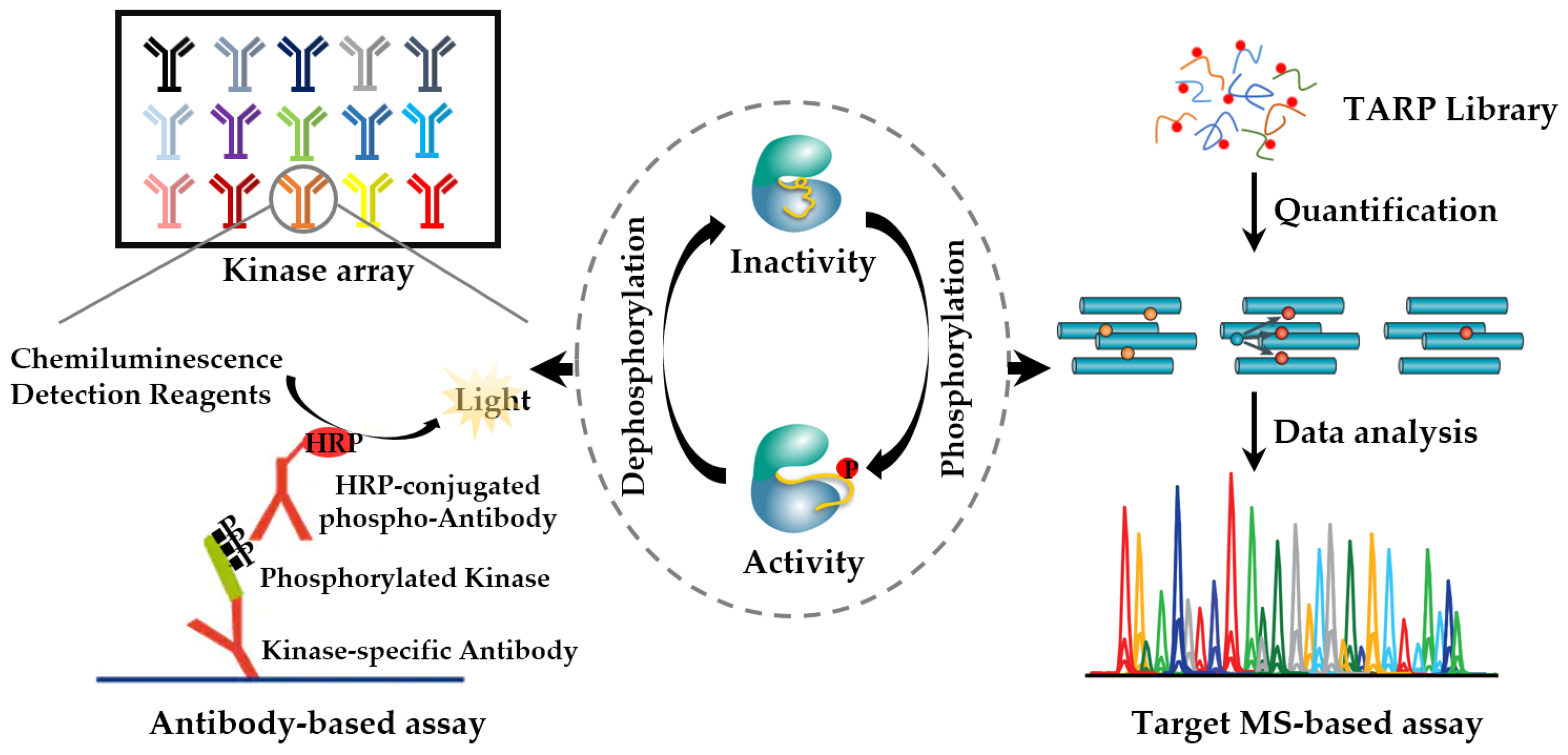 Cells 12 00925 g005 Cells 12 00925 g005