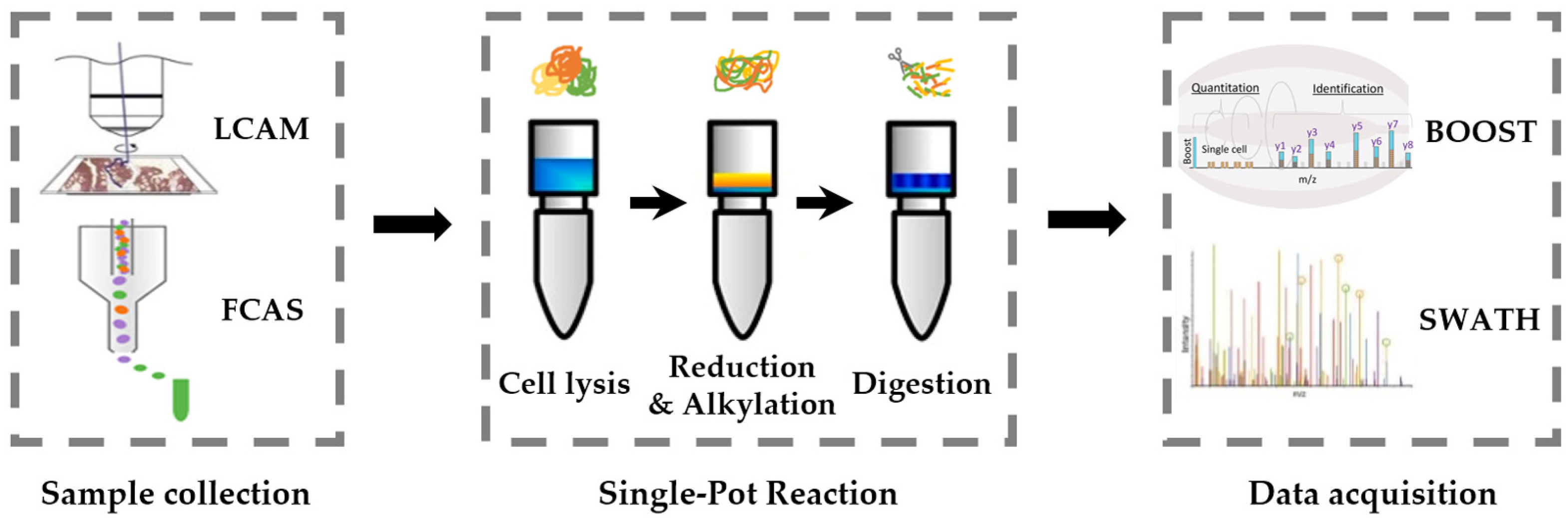 Cells 12 00925 g007 Cells 12 00925 g007