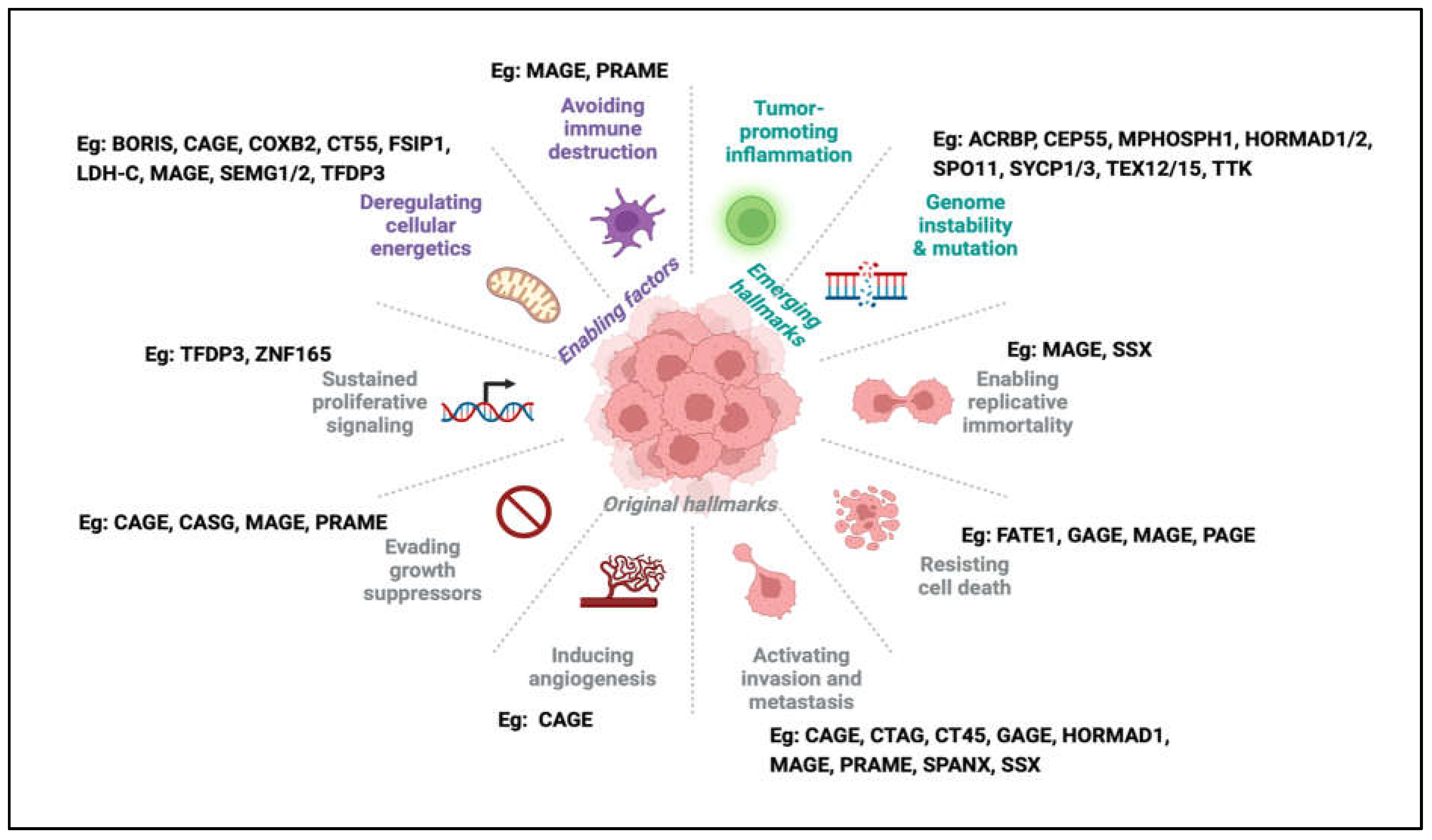 Cells 12 00926 g002 Cells 12 00926 g002