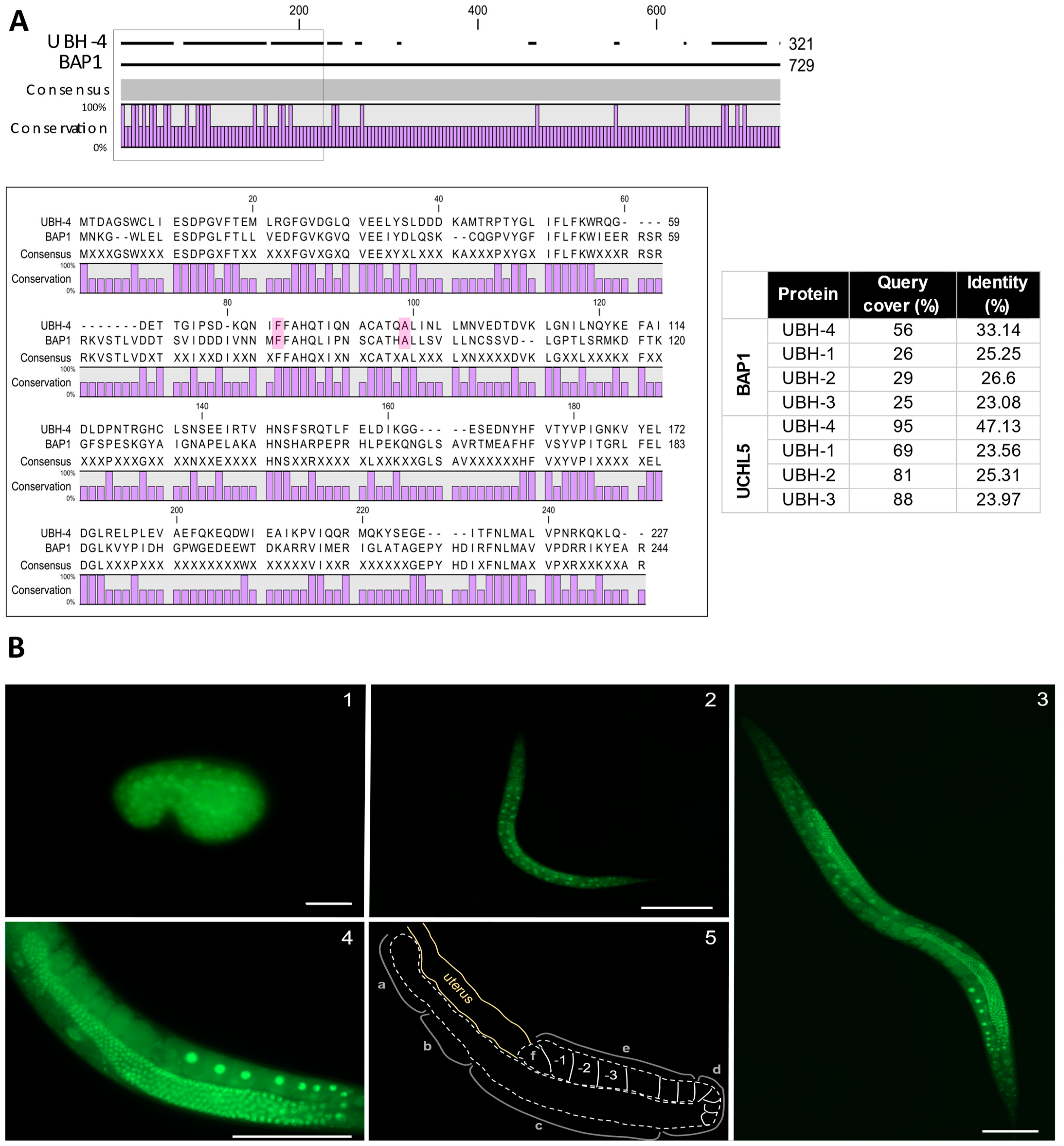Cells 12 00929 g001