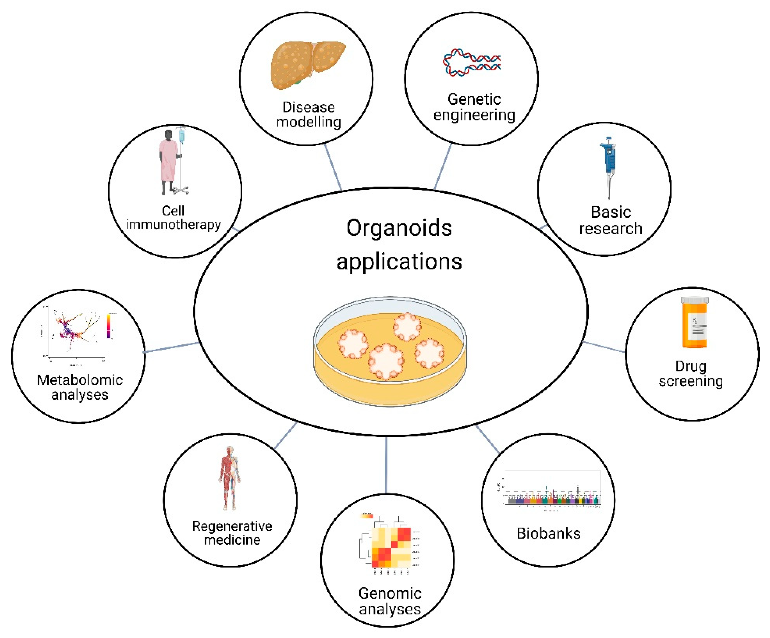 Cells 12 00930 g003 Cells 12 00930 g003