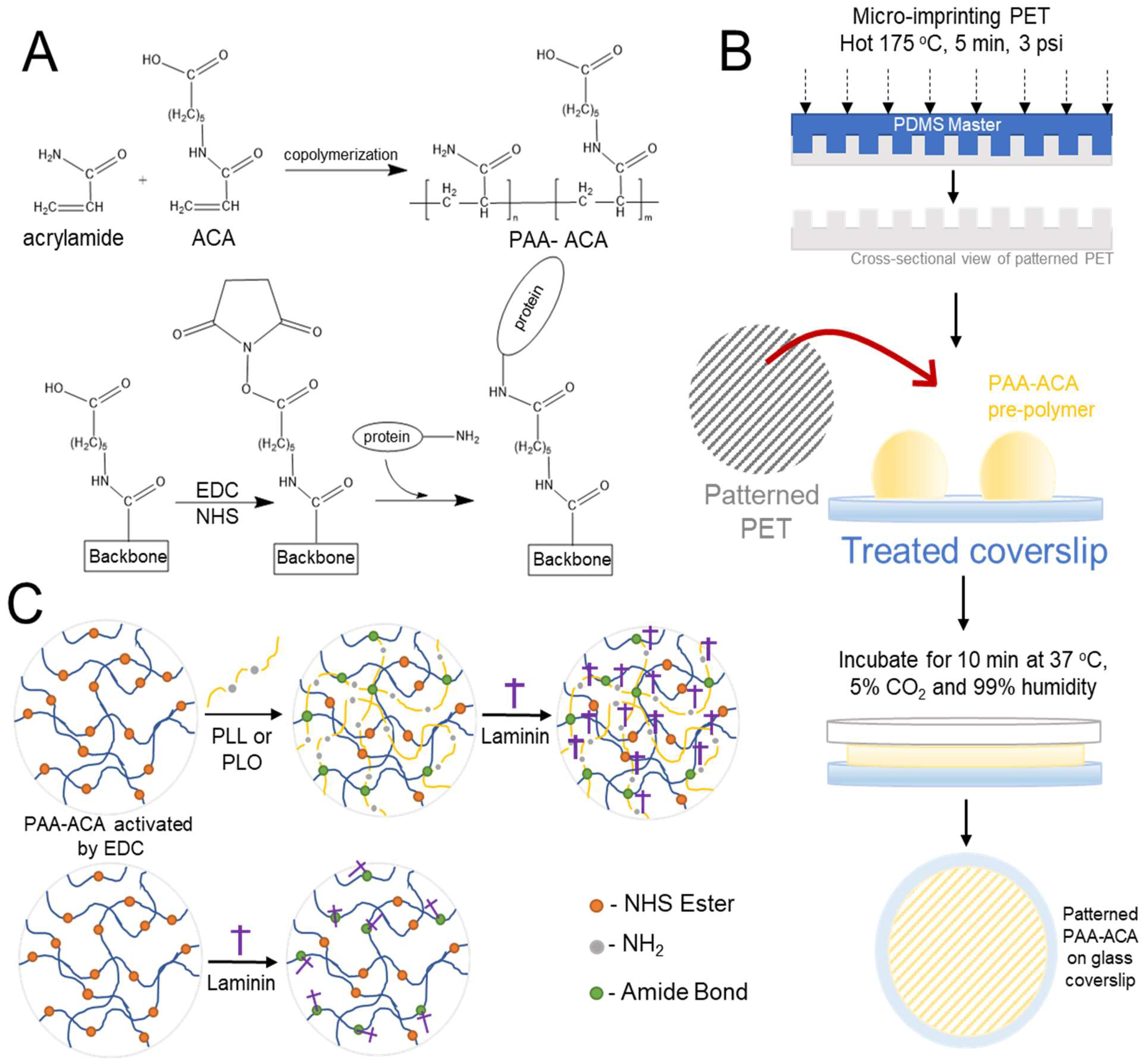 Cells 12 00934 g001 Cells 12 00934 g001