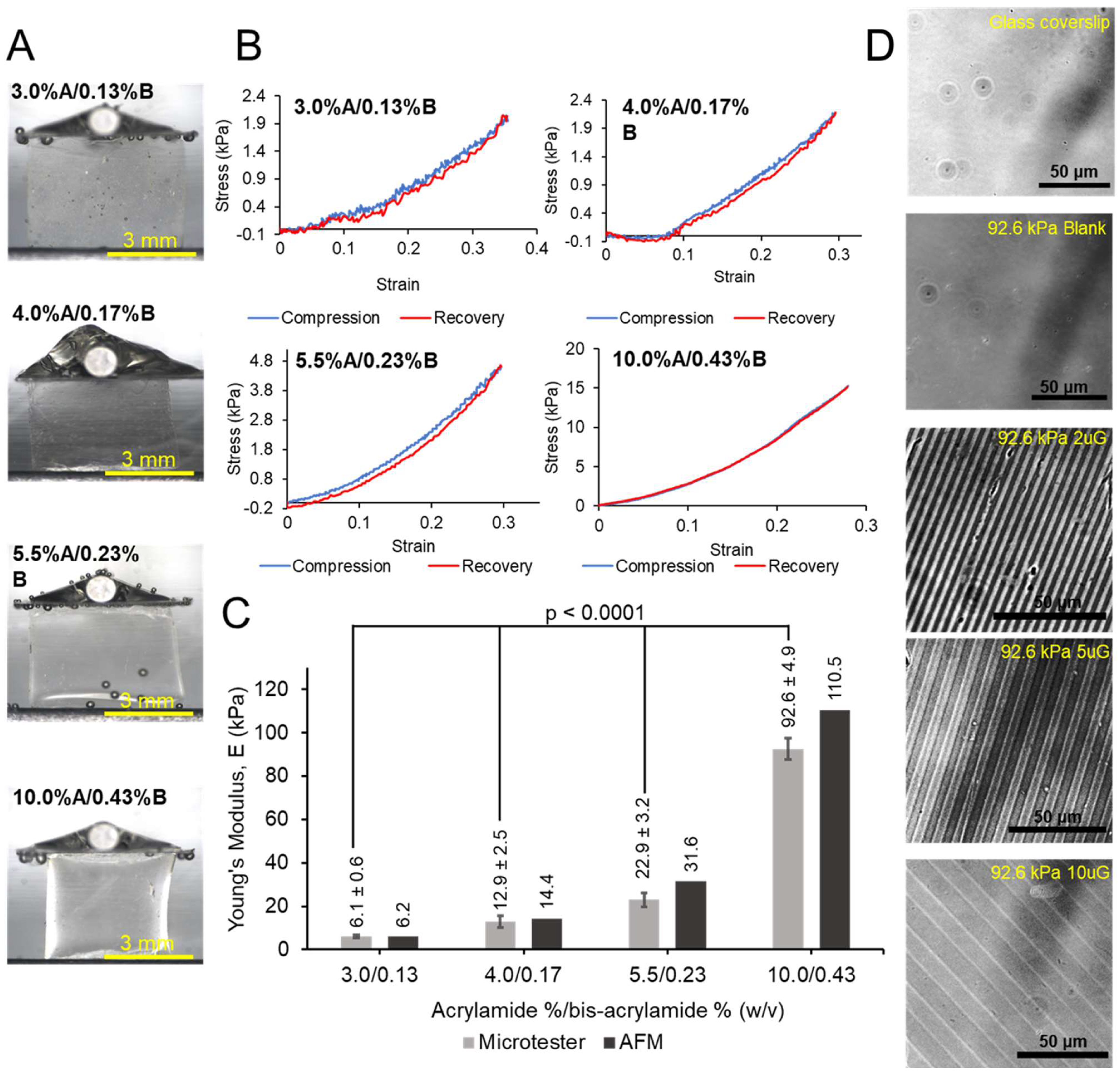 Cells 12 00934 g002 Cells 12 00934 g002