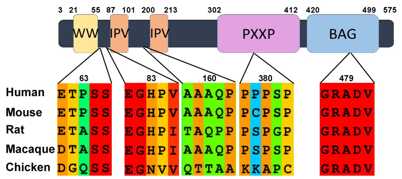 Cells 12 00937 g001b Cells 12 00937 g001b