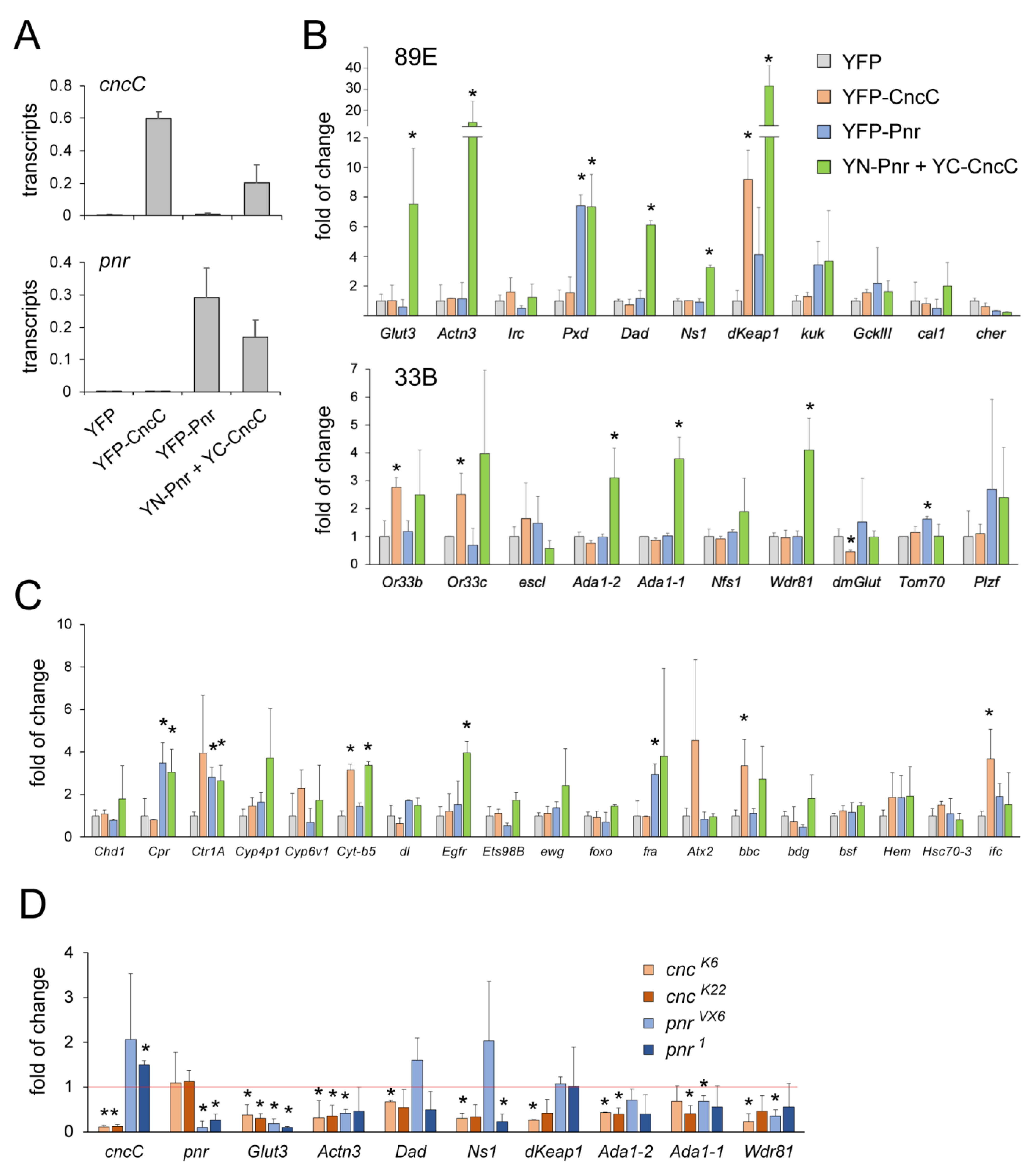 Cells 12 00938 g003 Cells 12 00938 g003