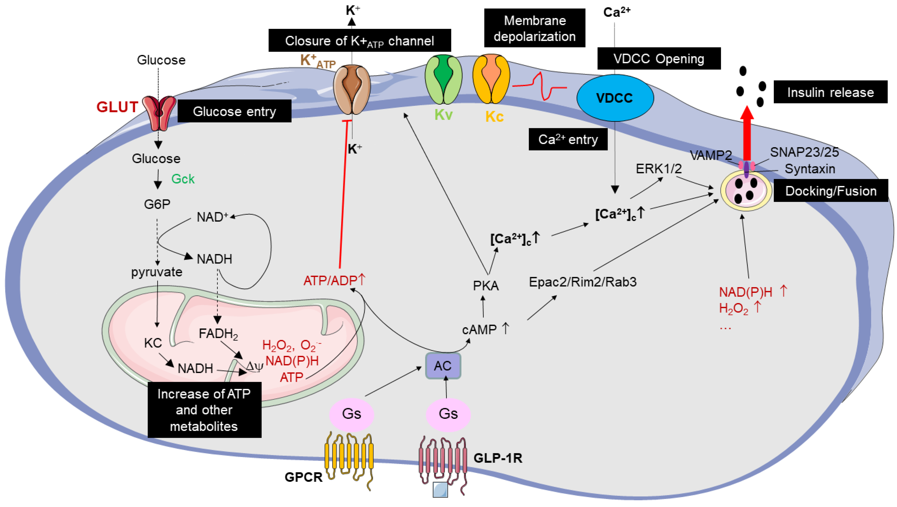 Cells 12 00940 g001 Cells 12 00940 g001