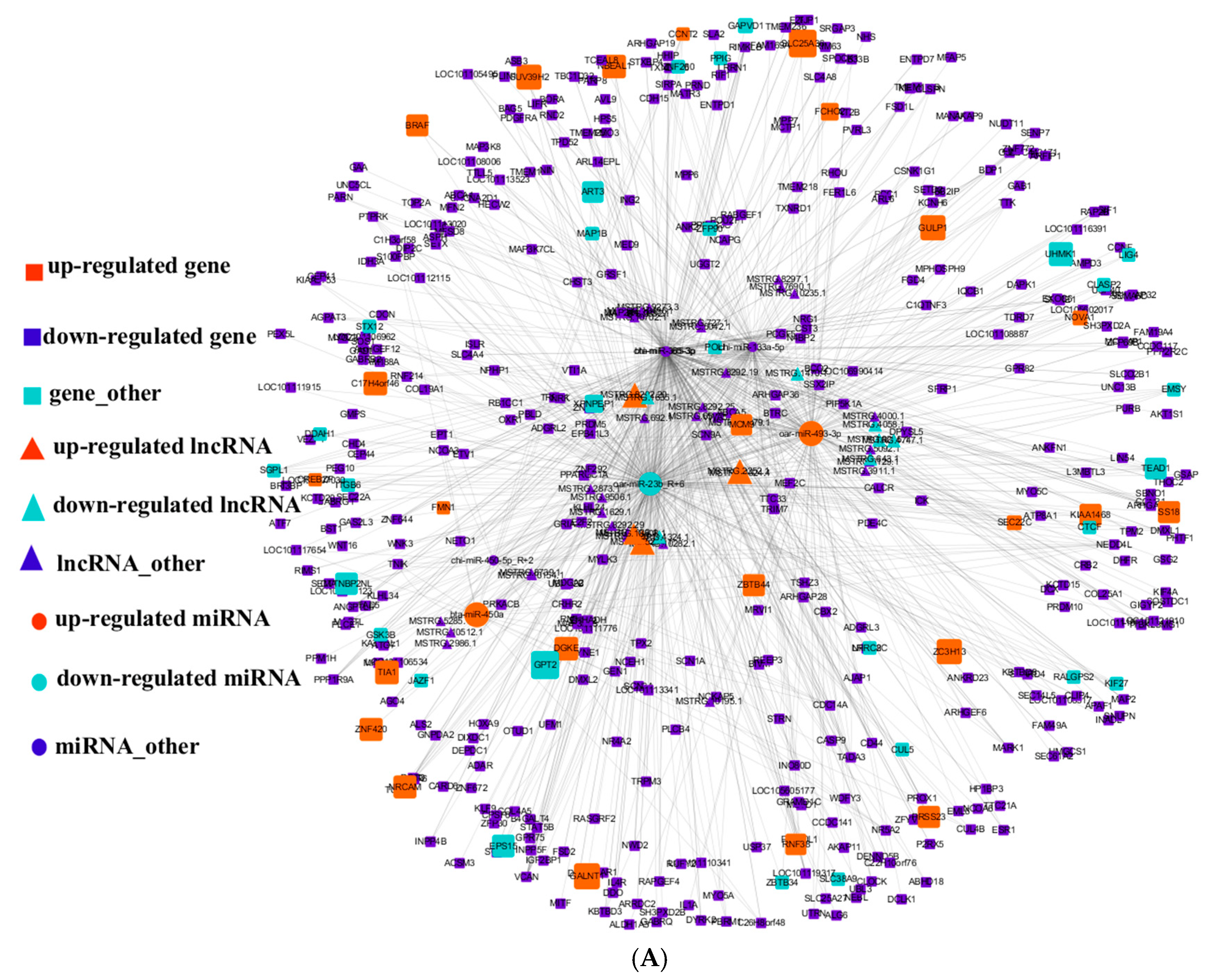 Cells 12 00943 g002a