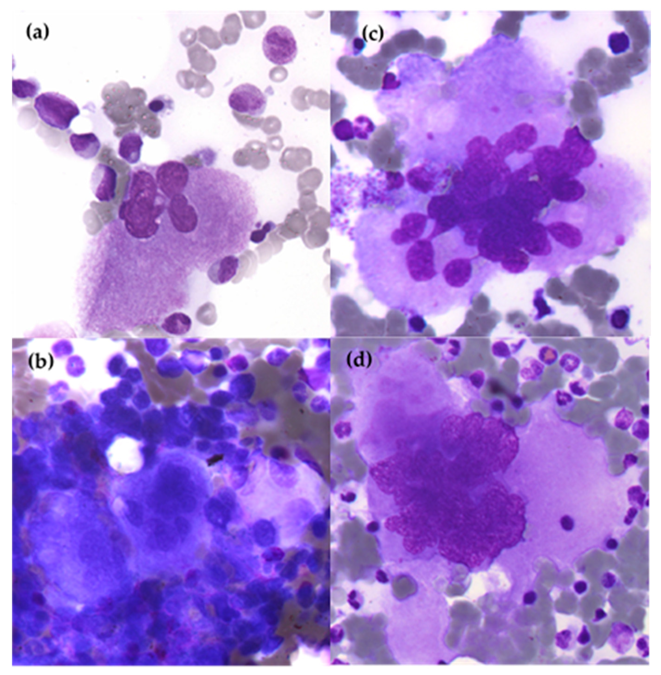 Cells 12 00946 g004 Cells 12 00946 g004