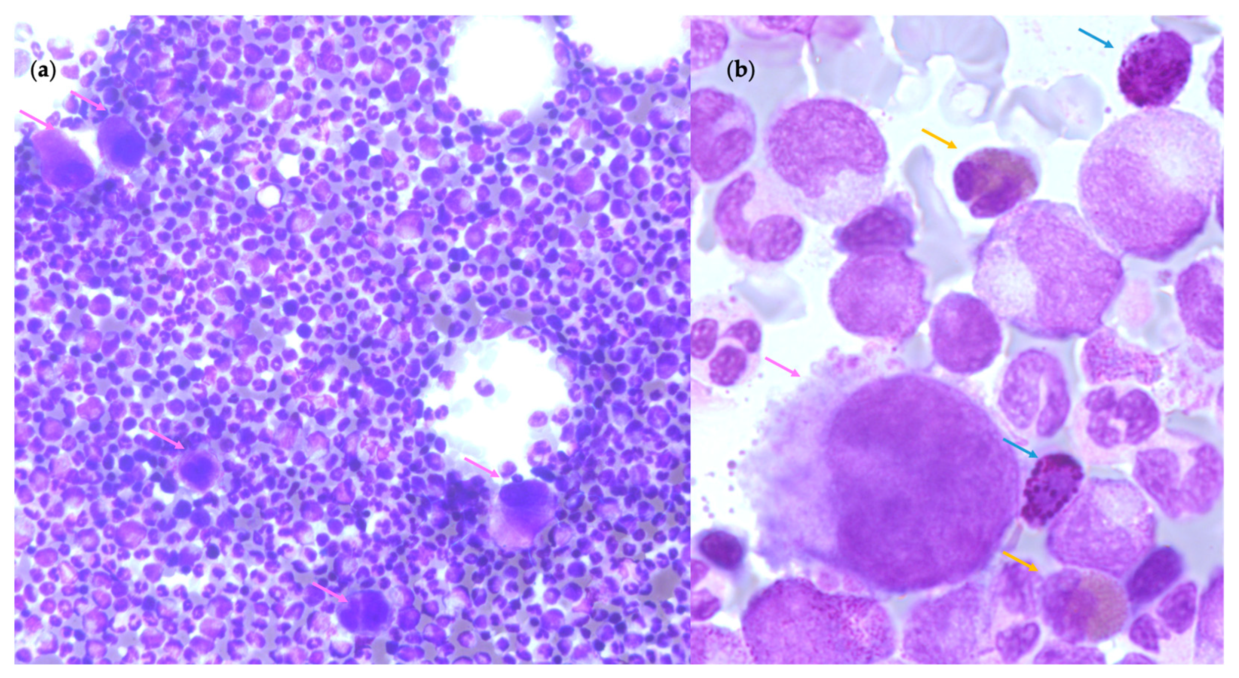 Cells 12 00946 g007 Cells 12 00946 g007