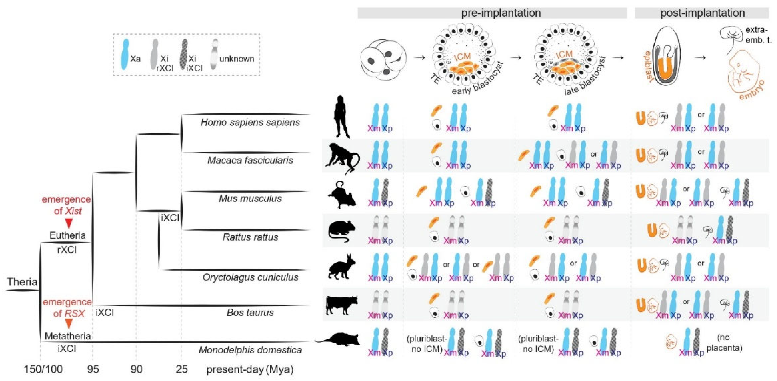 Cells 12 00950 g001 550