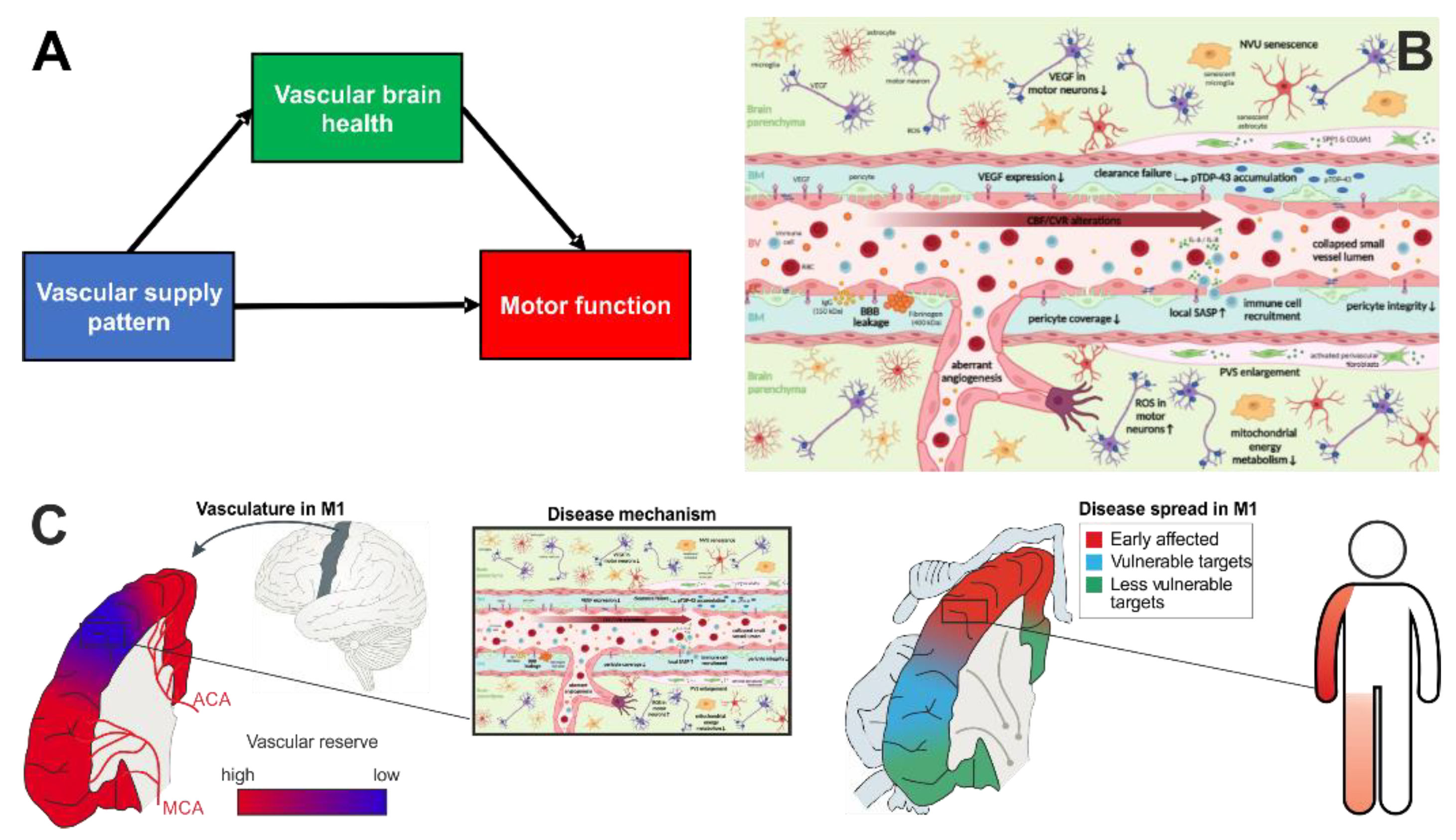 Cells 12 00957 g002 Cells 12 00957 g002