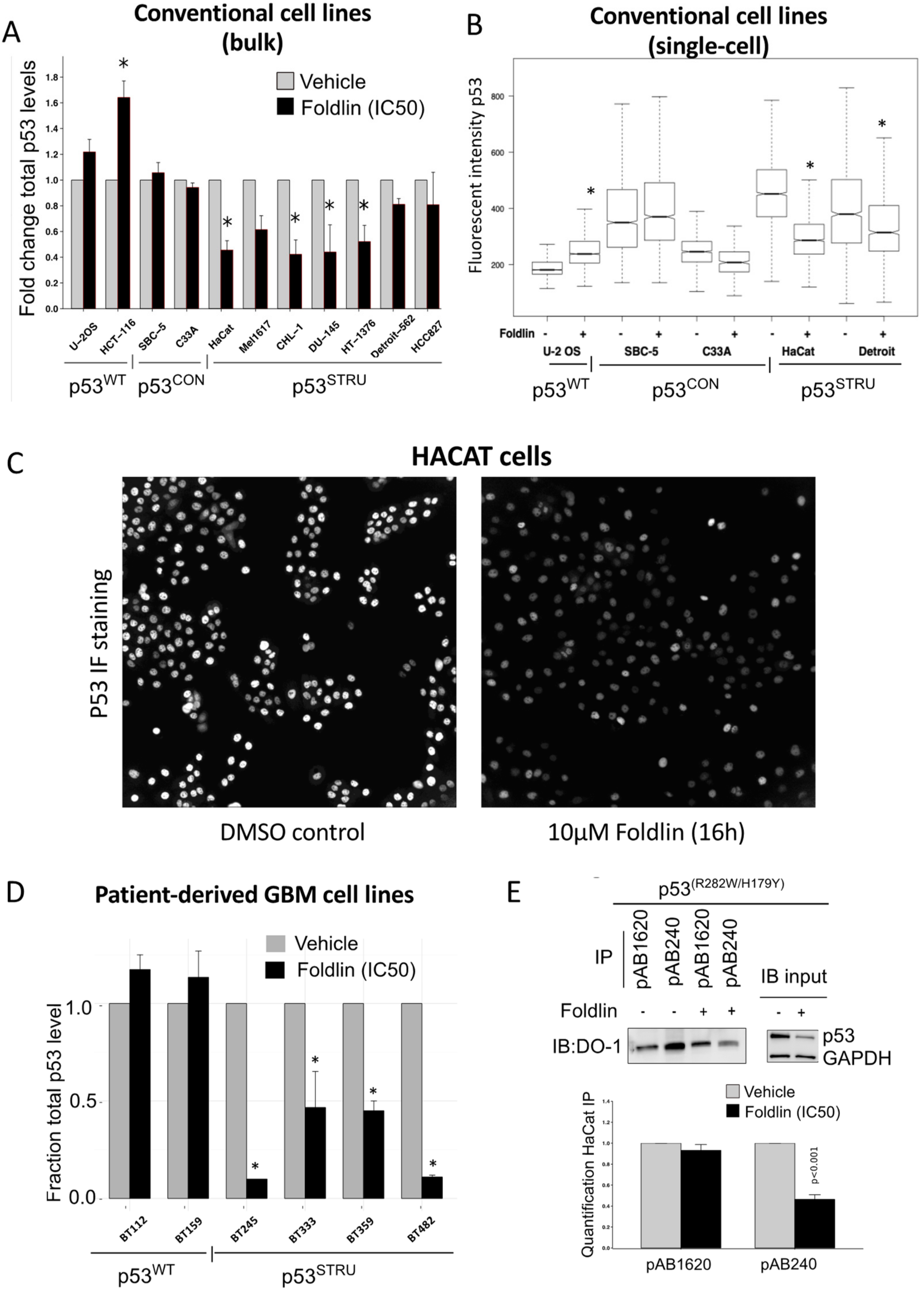 Cells 12 00960 g002 Cells 12 00960 g002