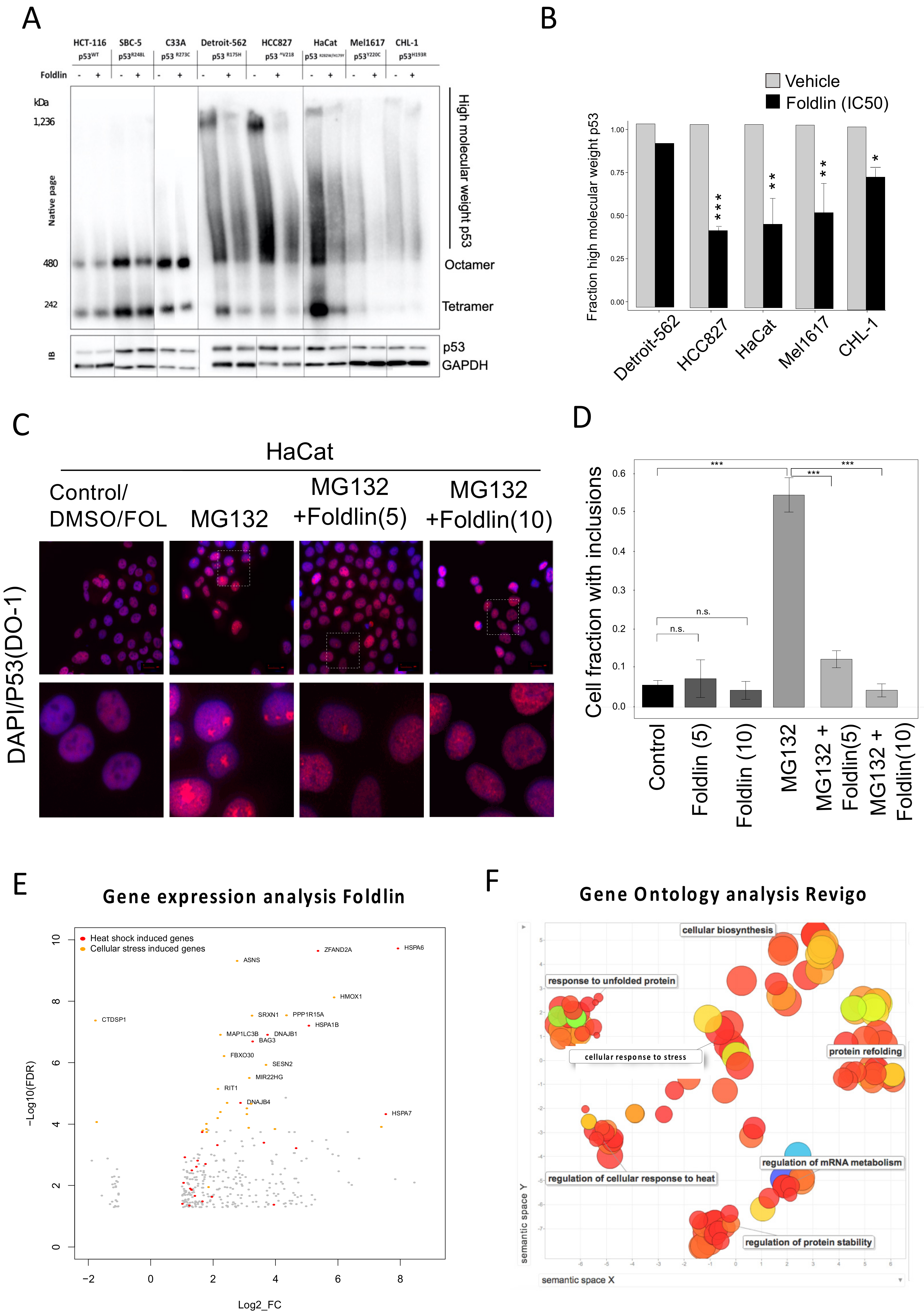 Cells 12 00960 g003 Cells 12 00960 g003