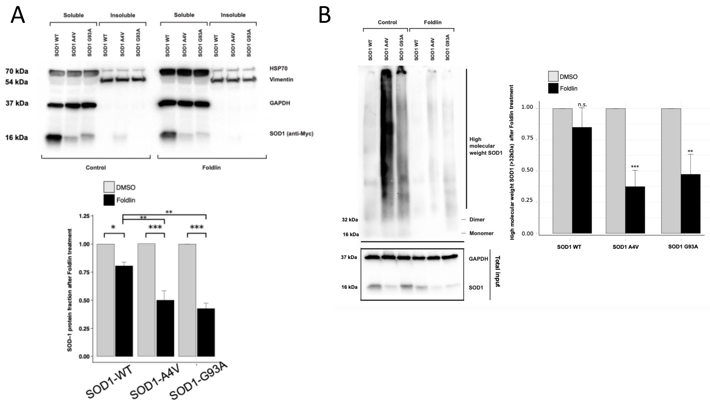 Cells 12 00960 g005 Cells 12 00960 g005