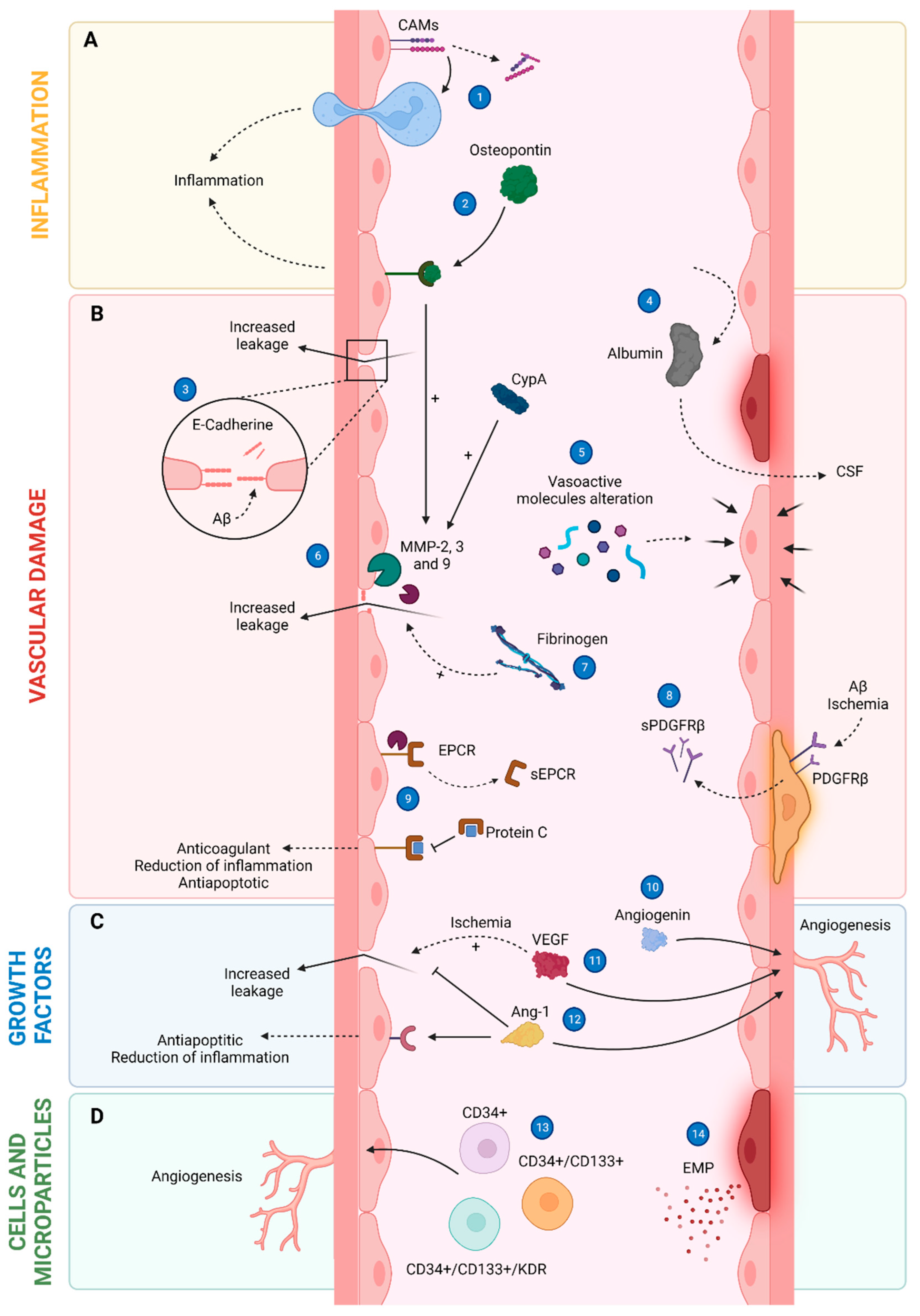 Cells 12 00962 g002 Cells 12 00962 g002