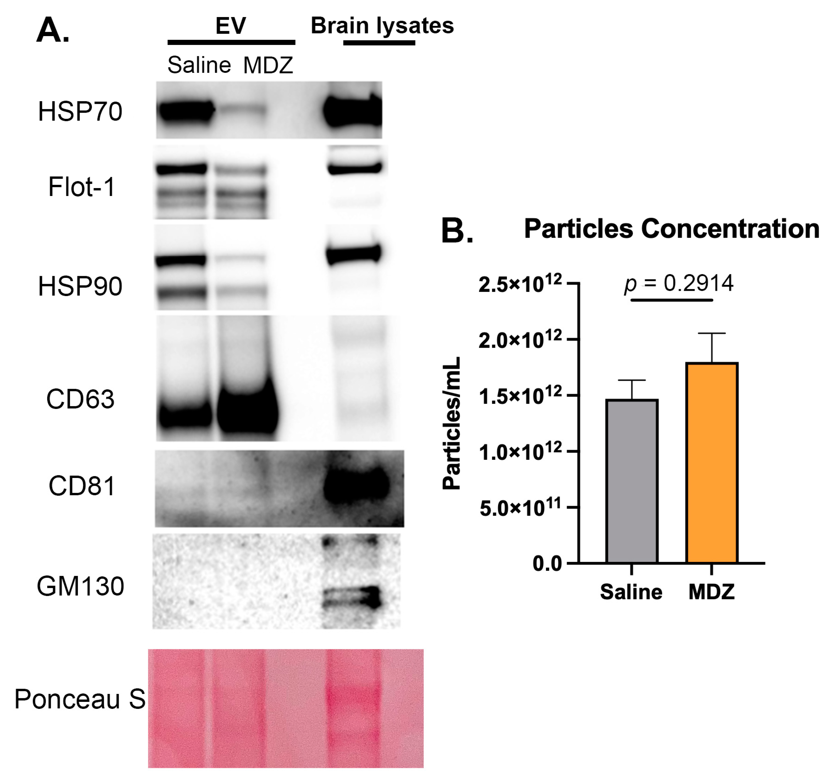 Cells 12 00966 g001 Cells 12 00966 g001