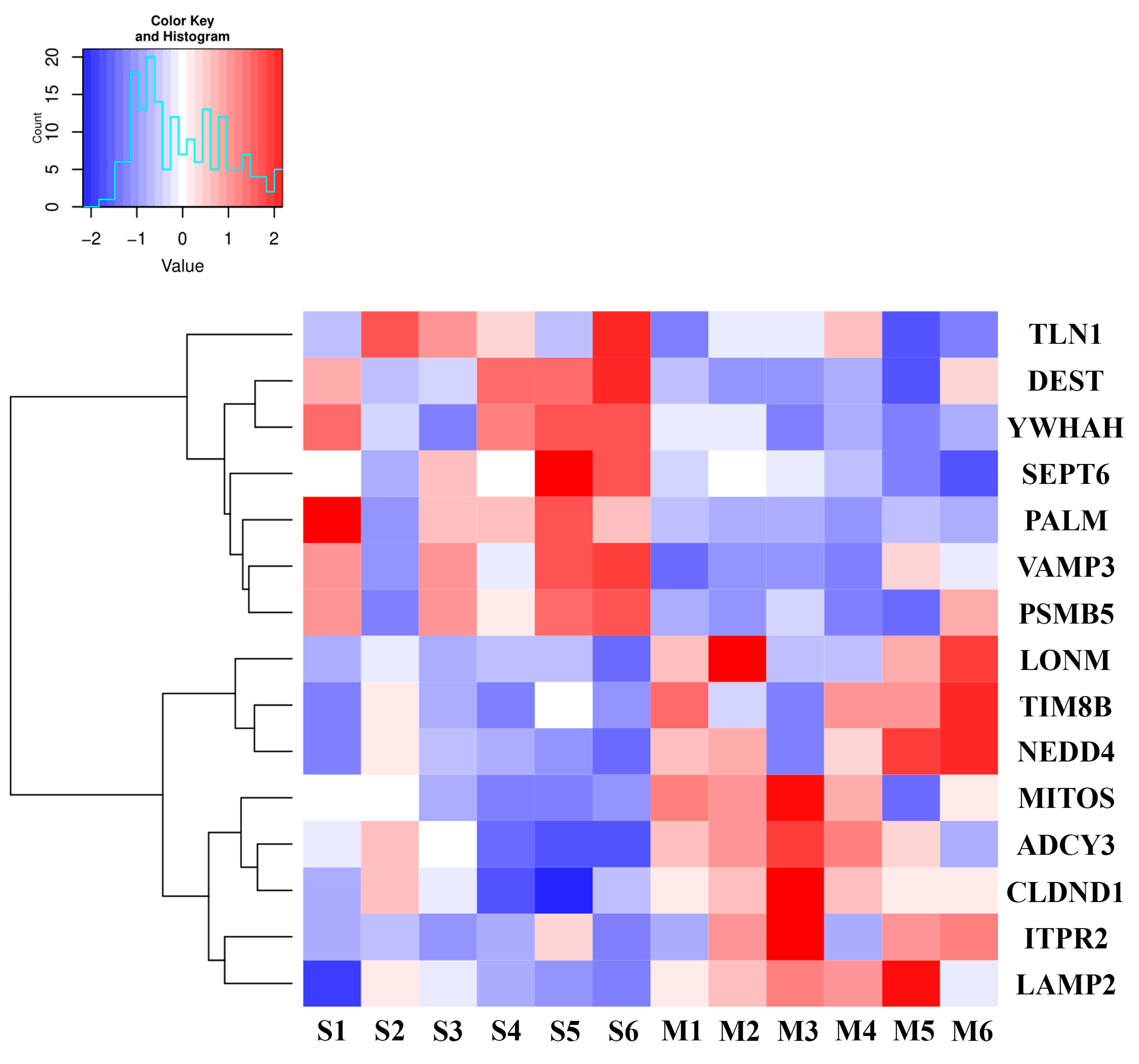 Cells 12 00966 g004 Cells 12 00966 g004