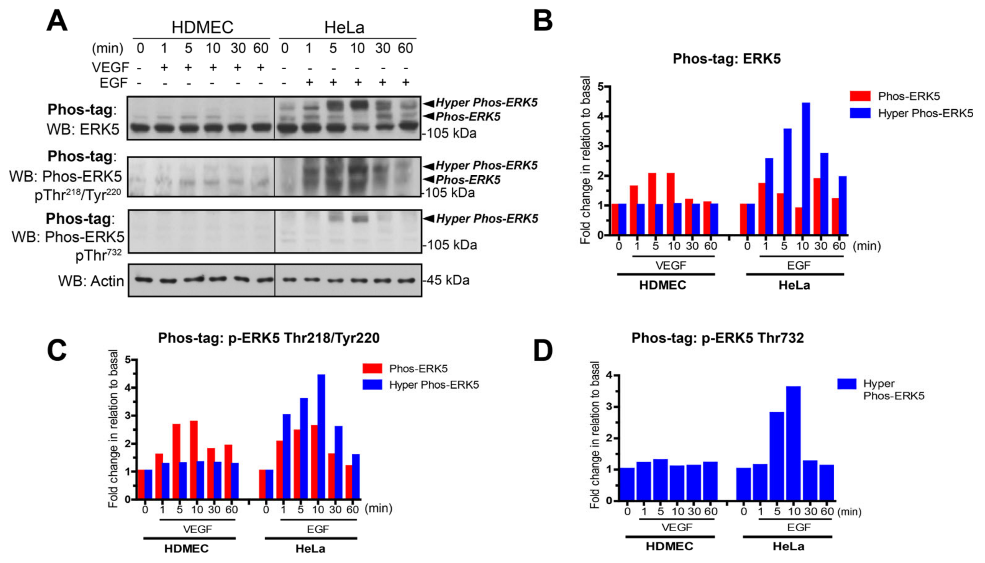 Cells 12 00967 g002 Cells 12 00967 g002