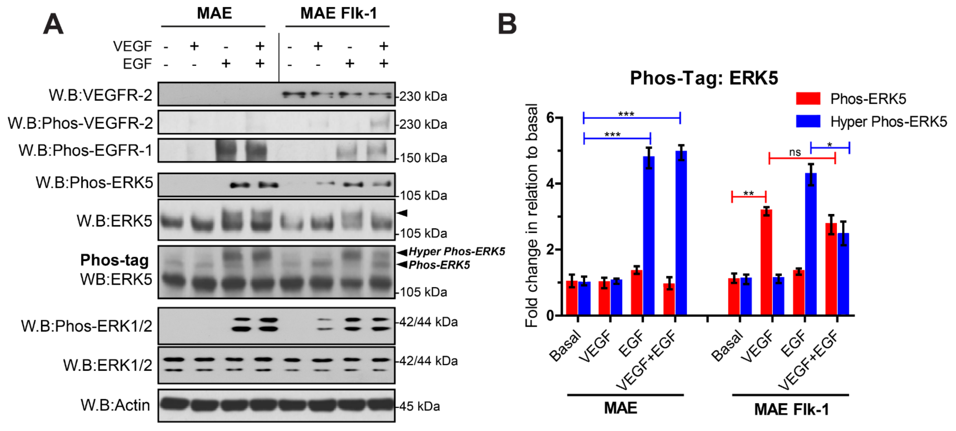 Cells 12 00967 g004 Cells 12 00967 g004