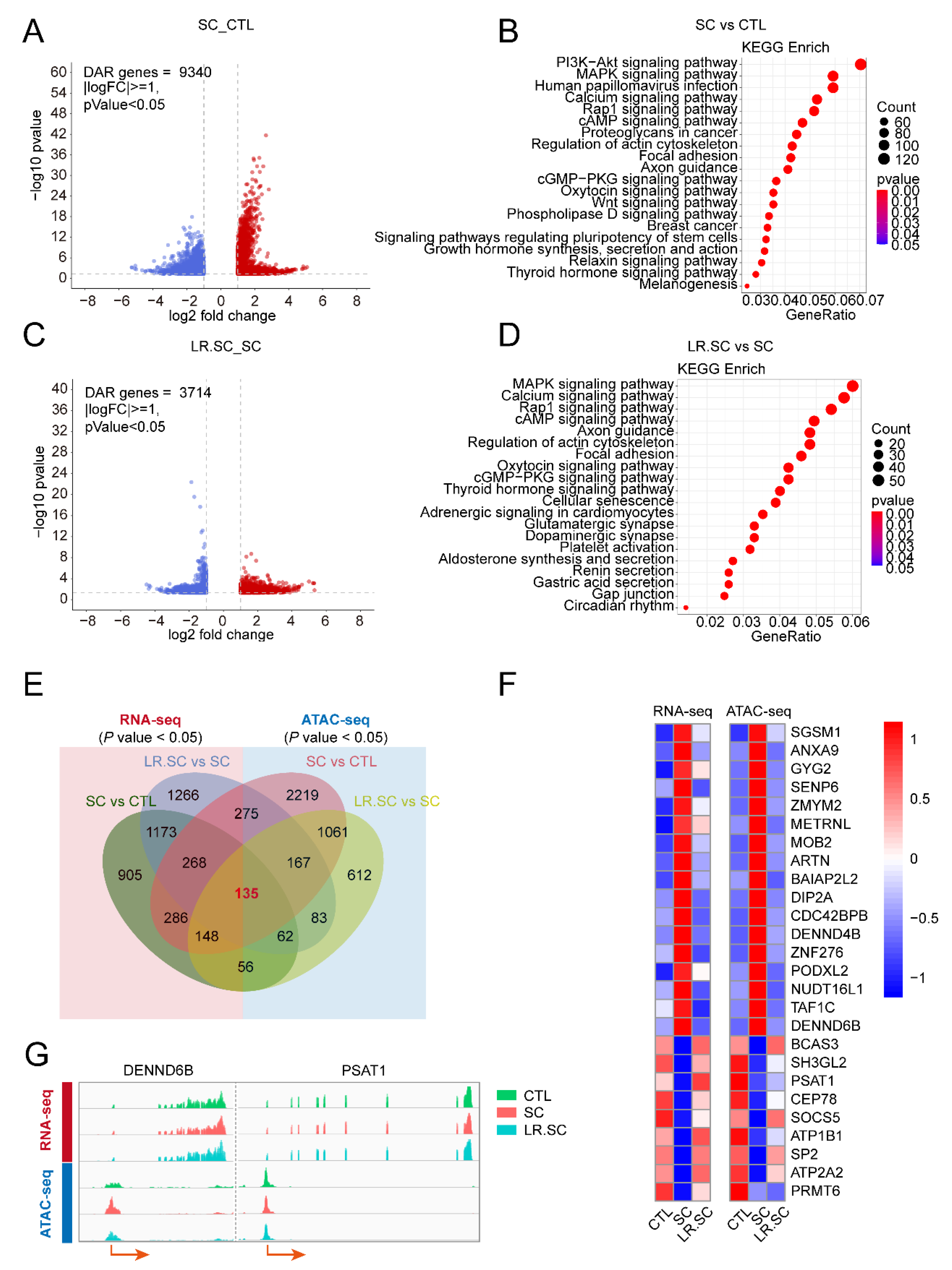 Cells 12 00968 g004 Cells 12 00968 g004