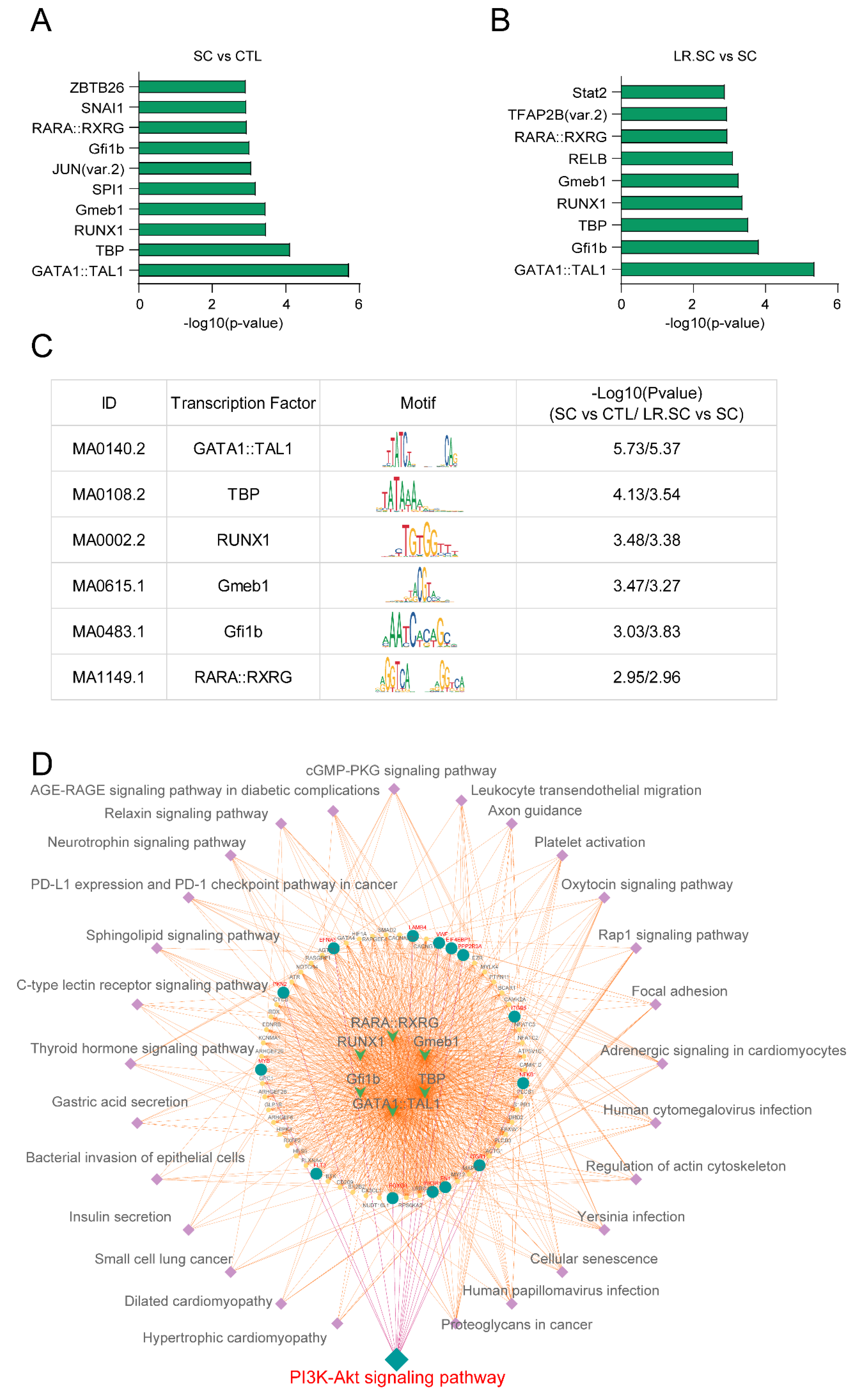 Cells 12 00968 g005 Cells 12 00968 g005