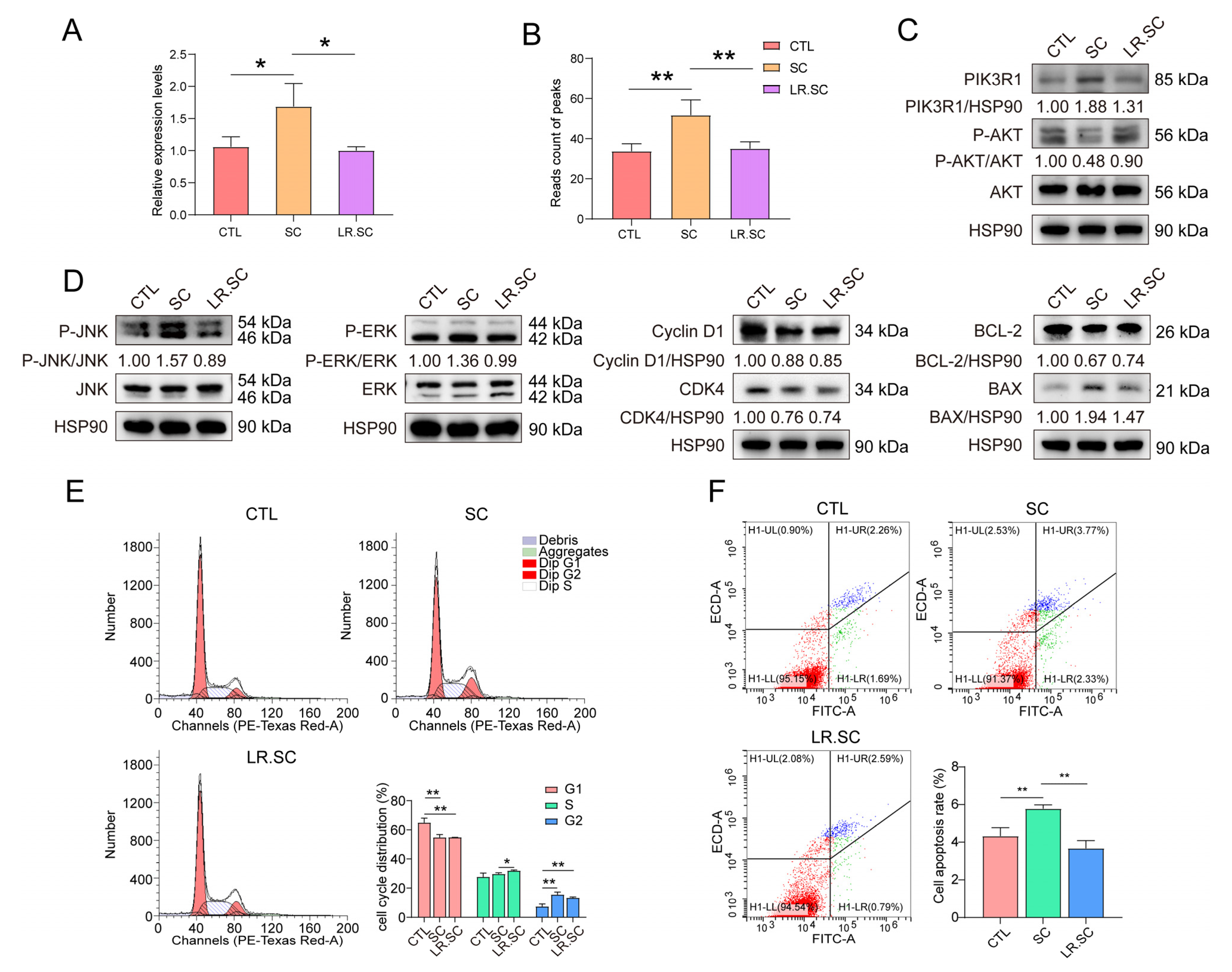 Cells 12 00968 g006 Cells 12 00968 g006