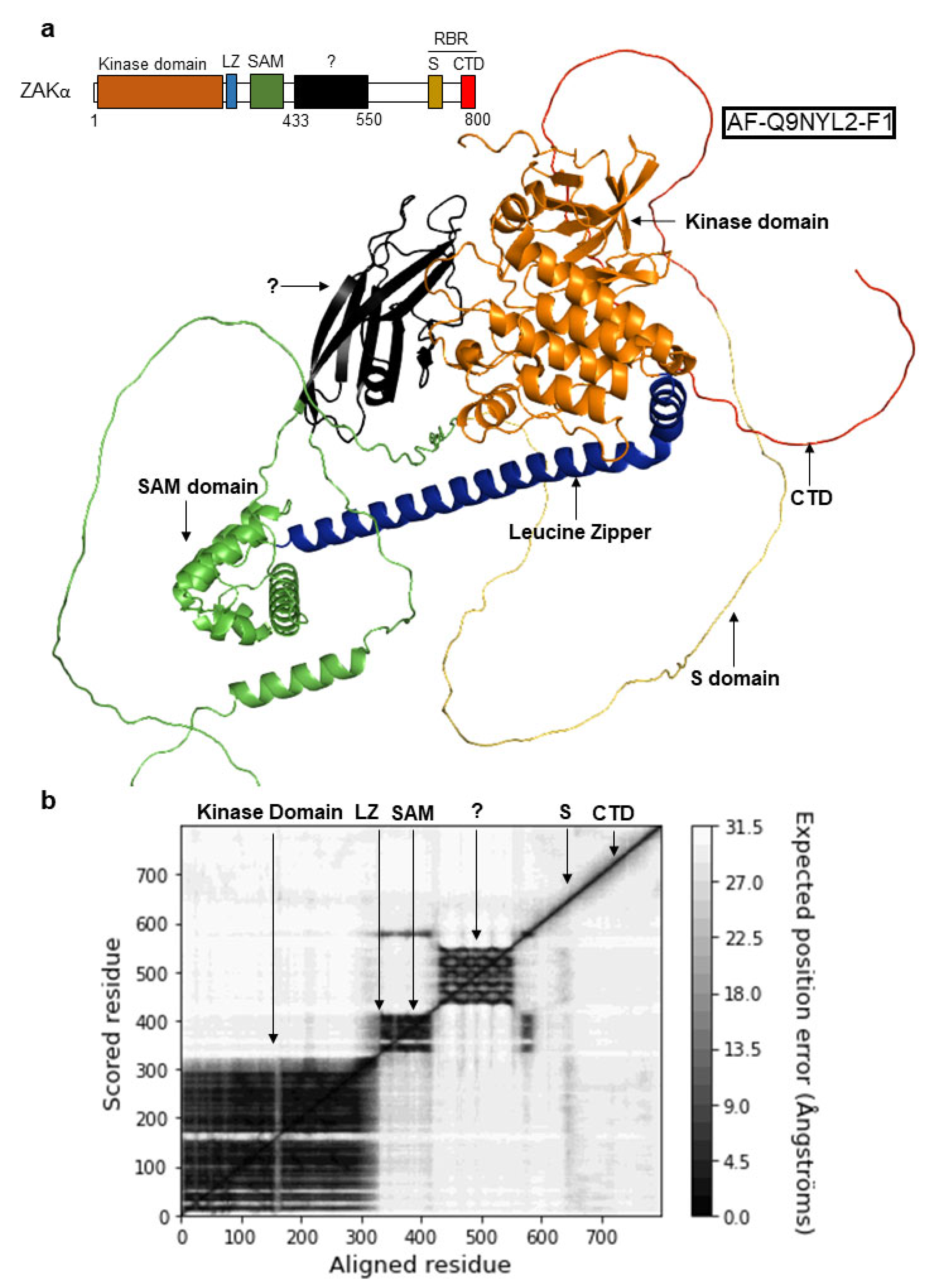 Cells 12 00969 g002 Cells 12 00969 g002