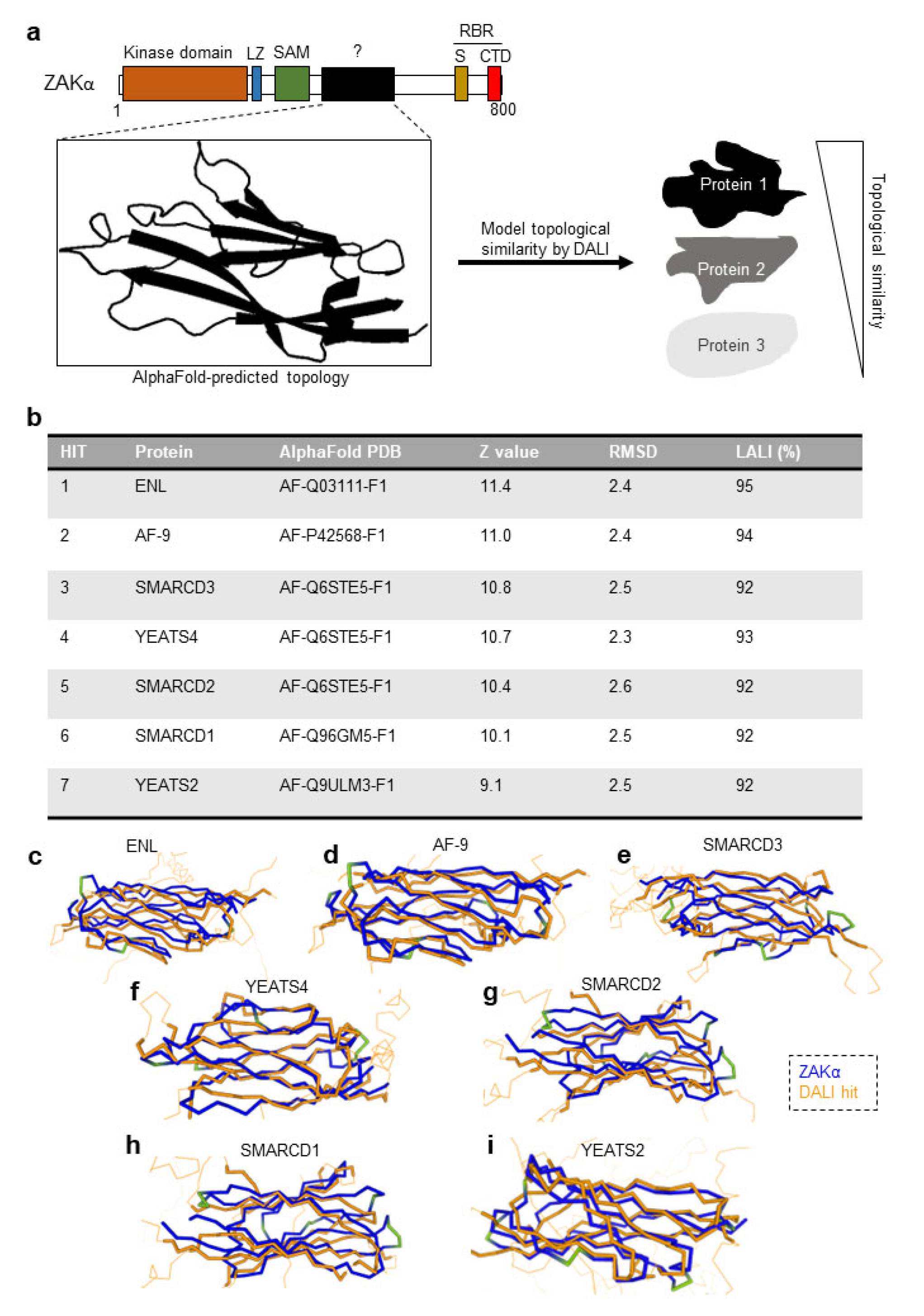 Cells 12 00969 g003 Cells 12 00969 g003