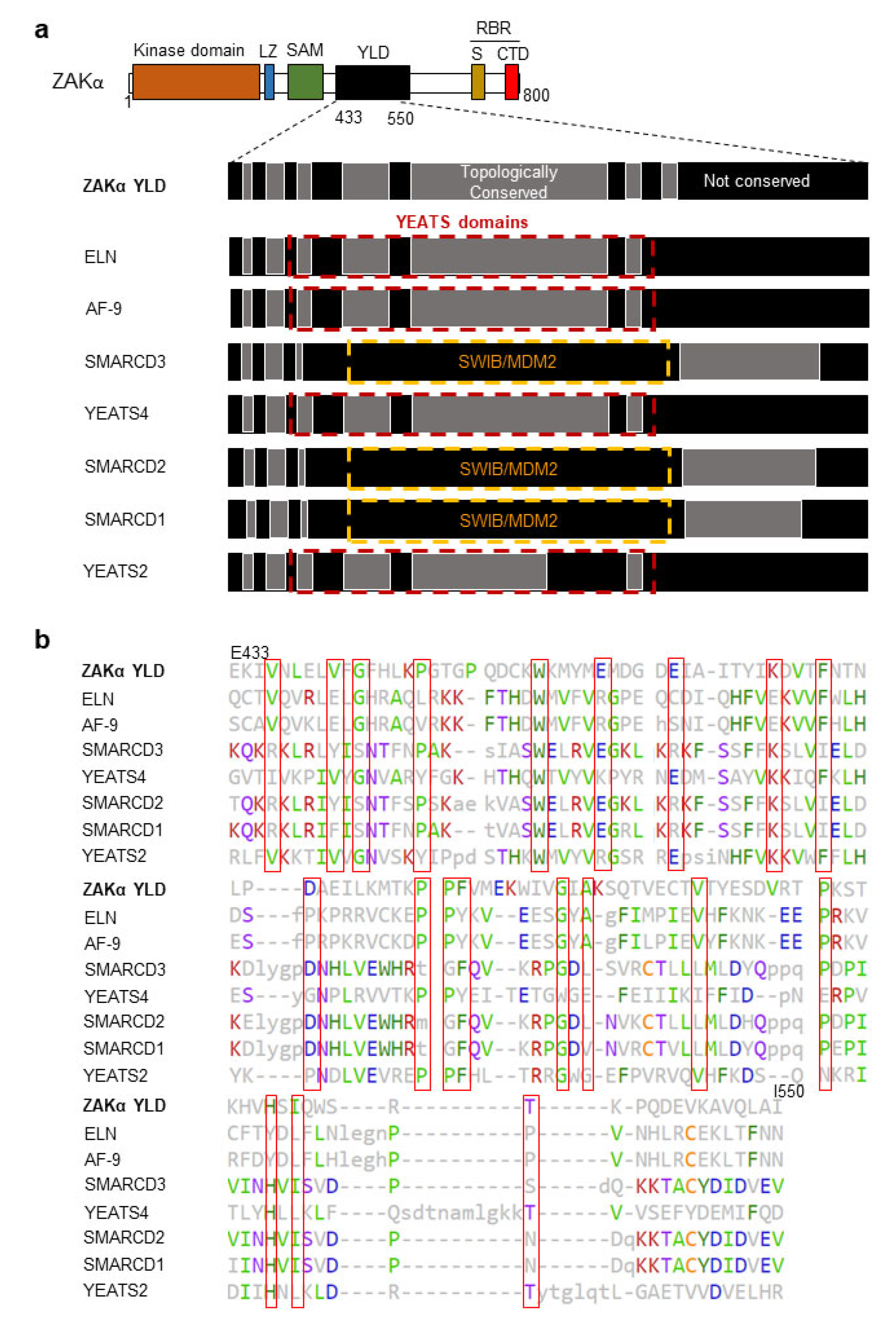Cells 12 00969 g004 Cells 12 00969 g004