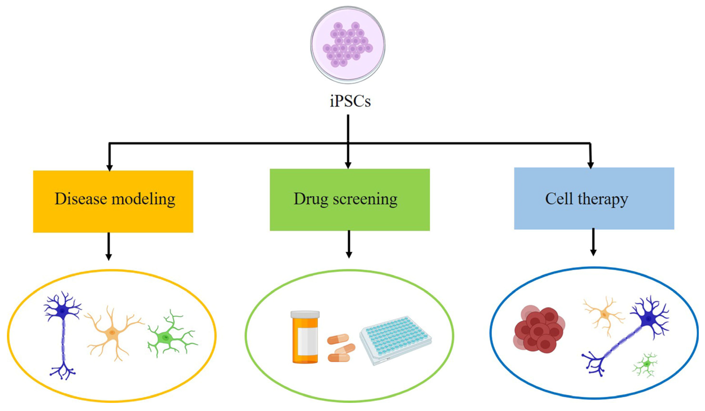 Stem Cell Penny Stock 30 - q2uyjuw