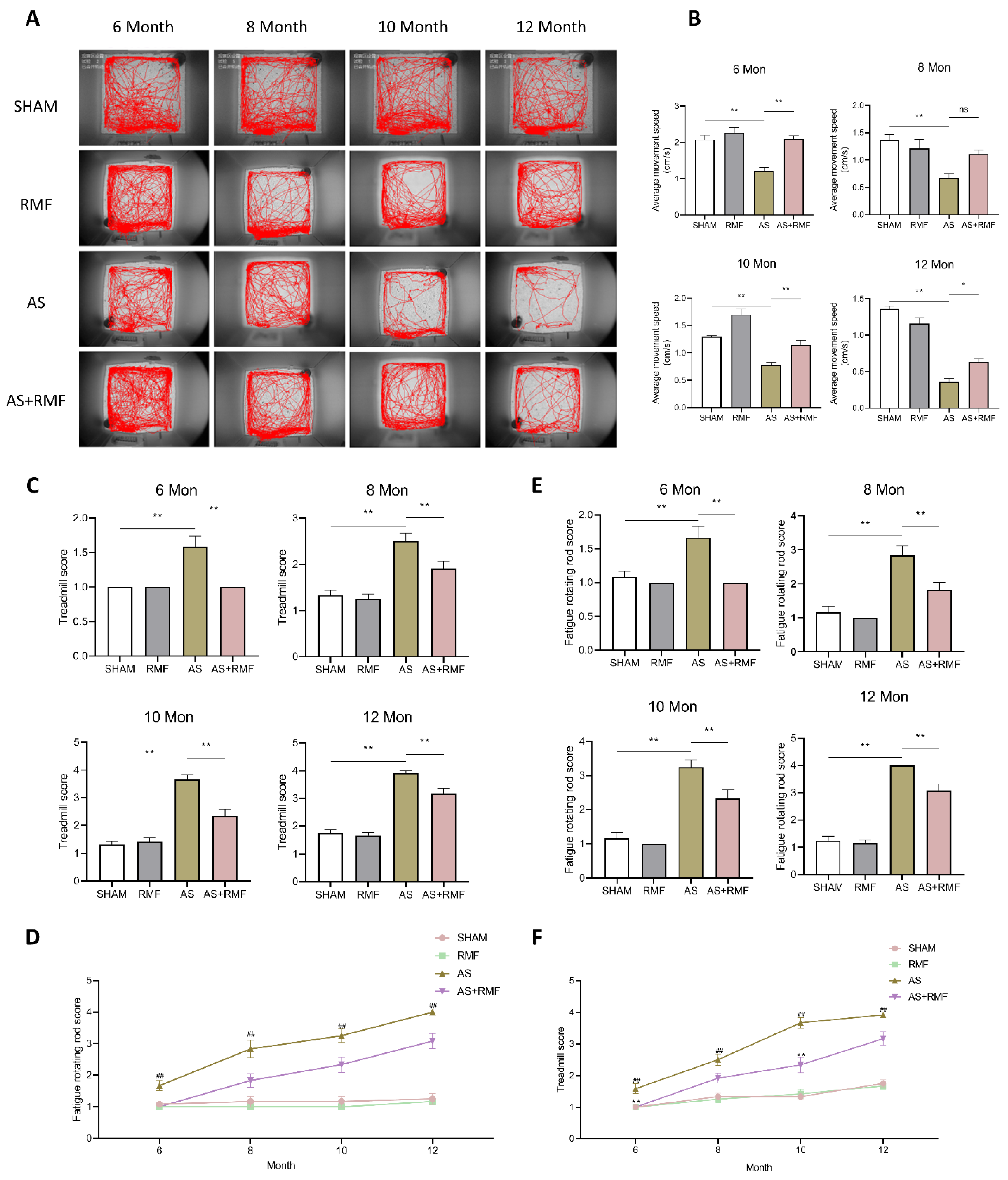 Cells 12 00972 g003 Cells 12 00972 g003
