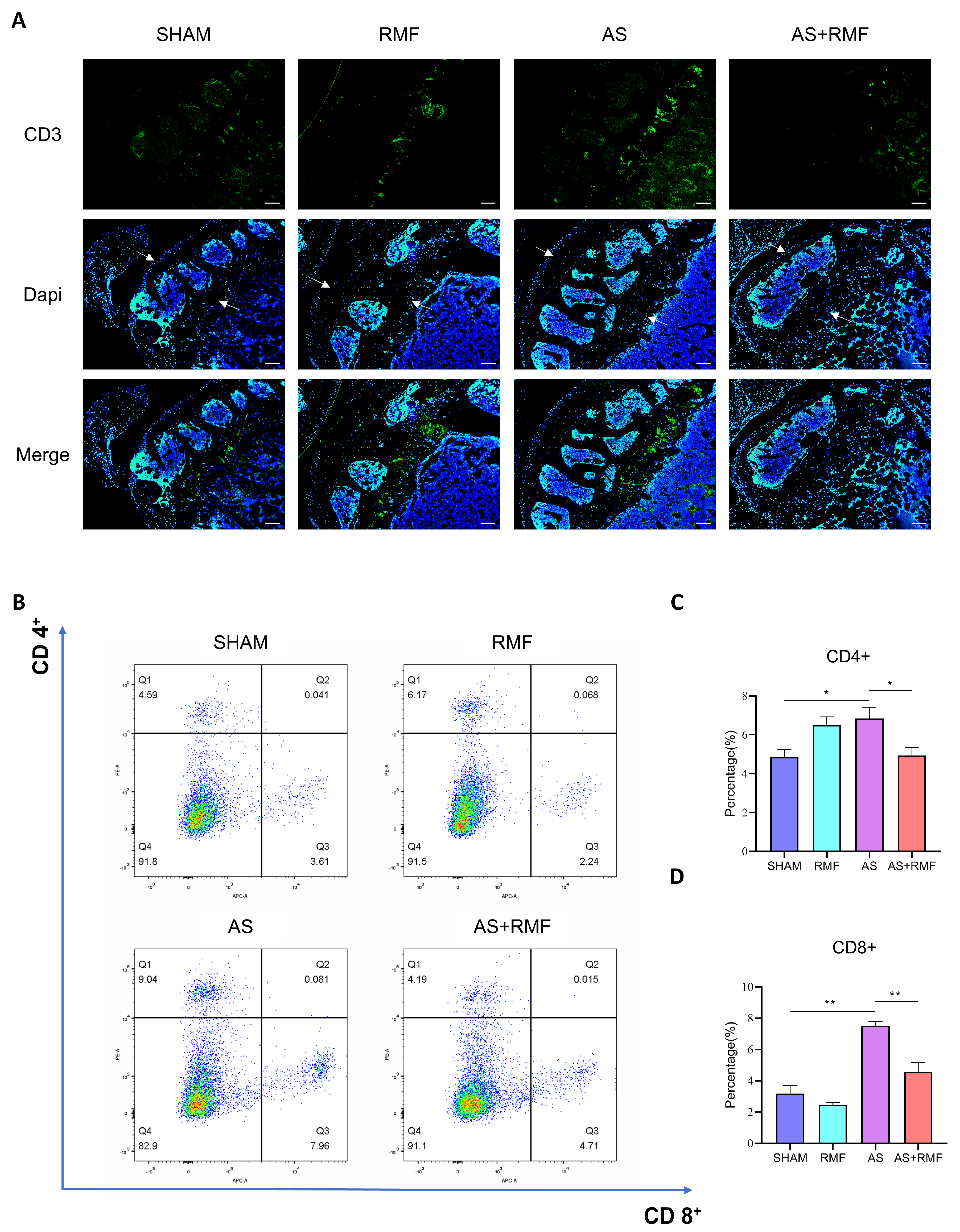 Cells 12 00972 g006 Cells 12 00972 g006