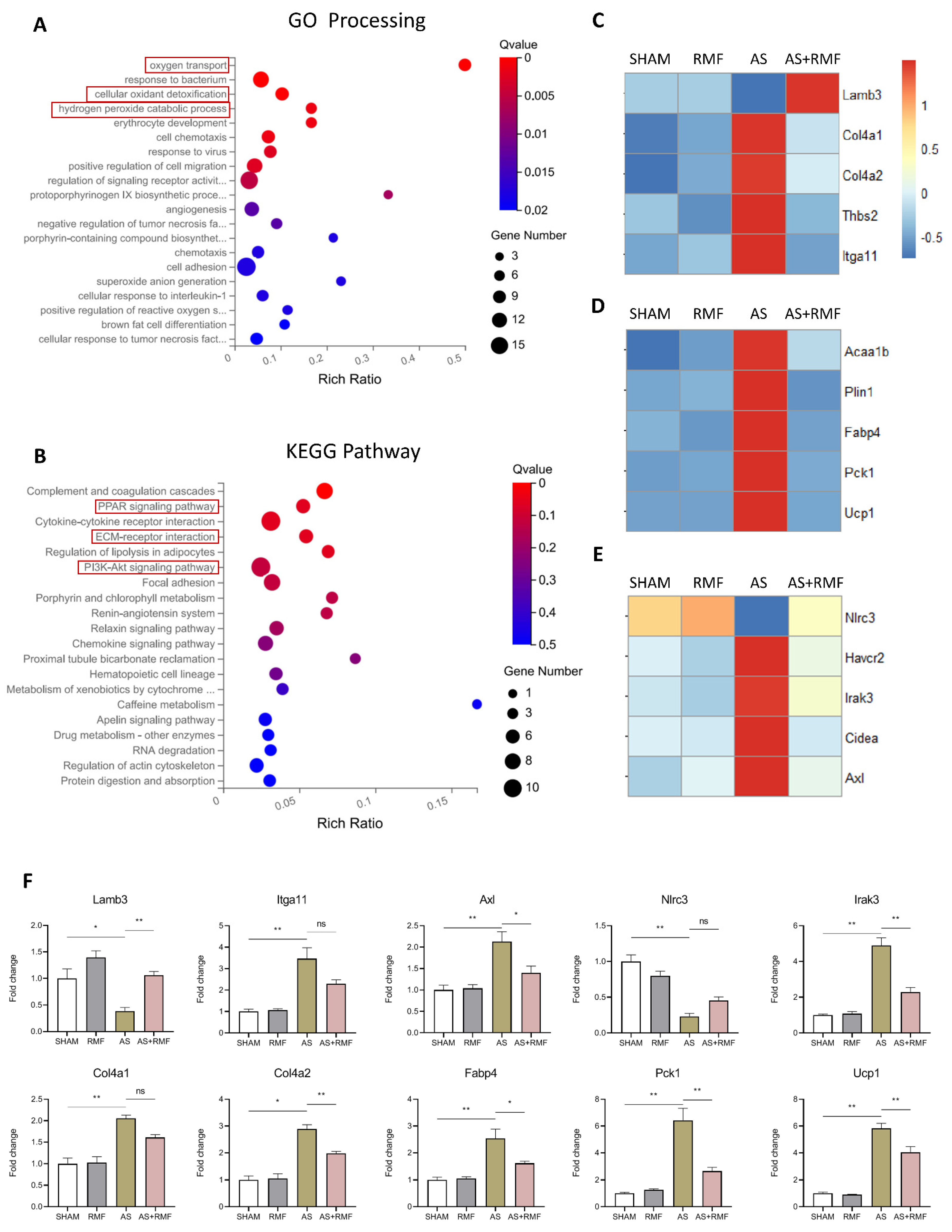 Cells 12 00972 g007 Cells 12 00972 g007
