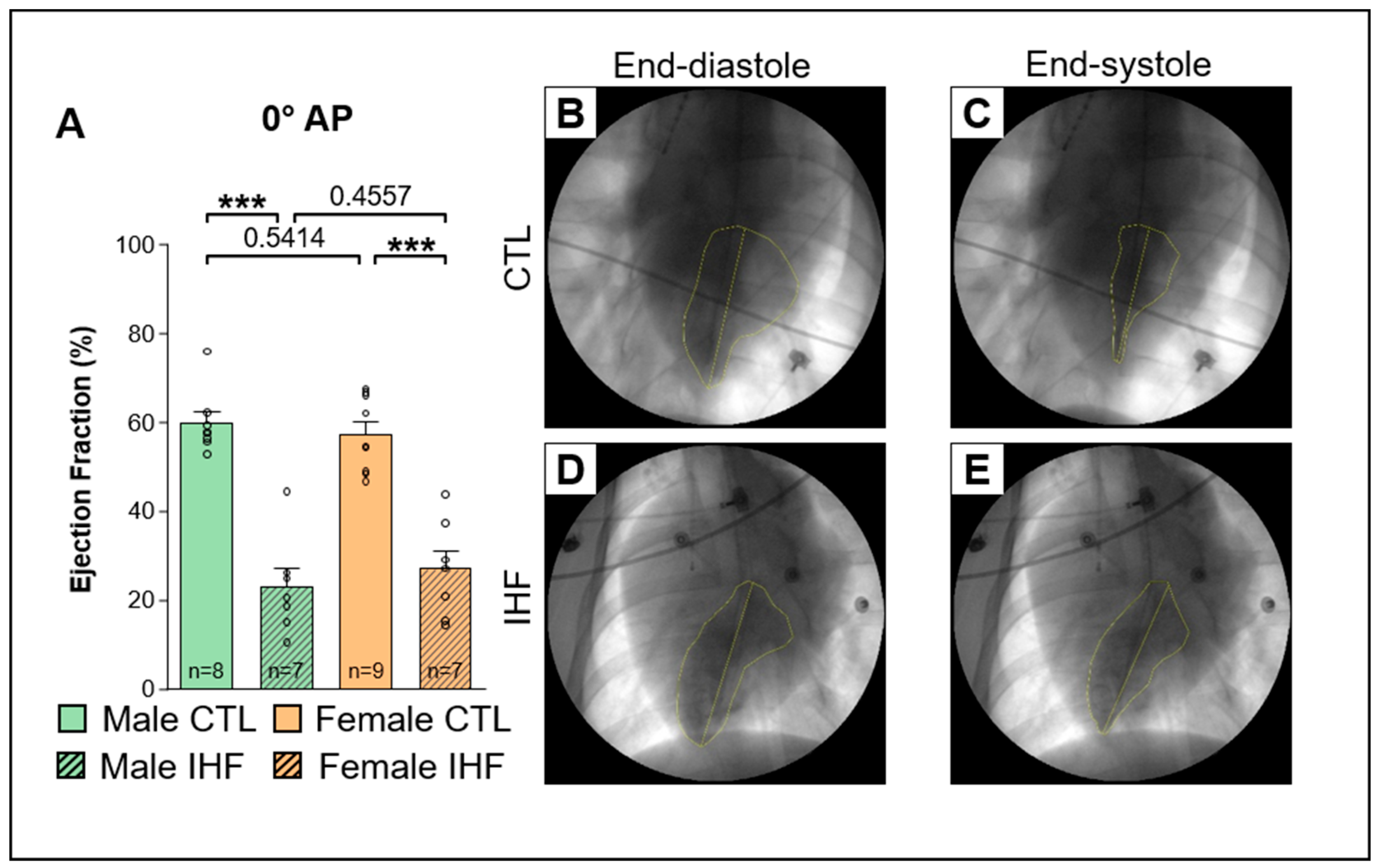 Cells 12 00973 g001 Cells 12 00973 g001