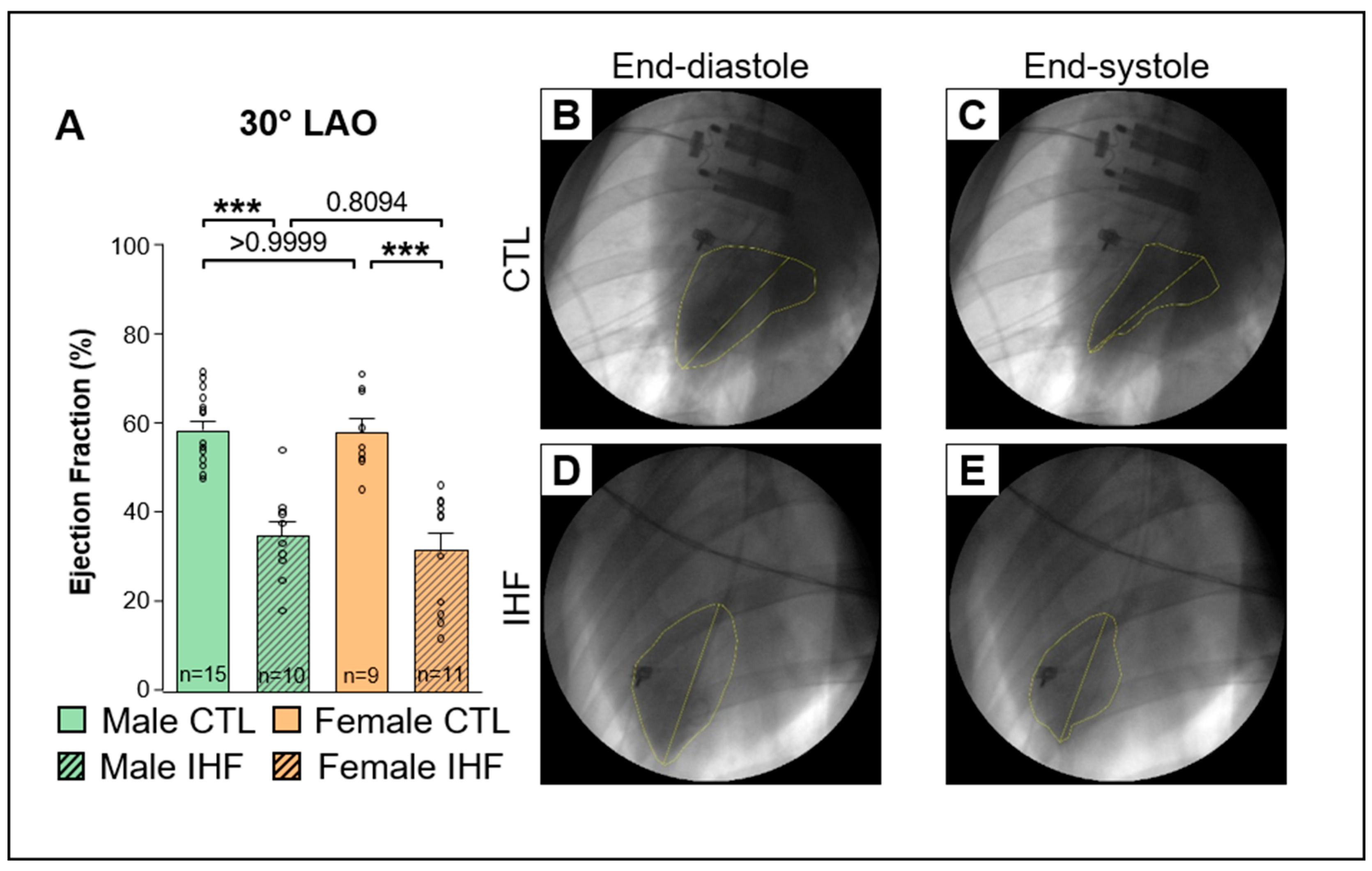 Cells 12 00973 g002 Cells 12 00973 g002