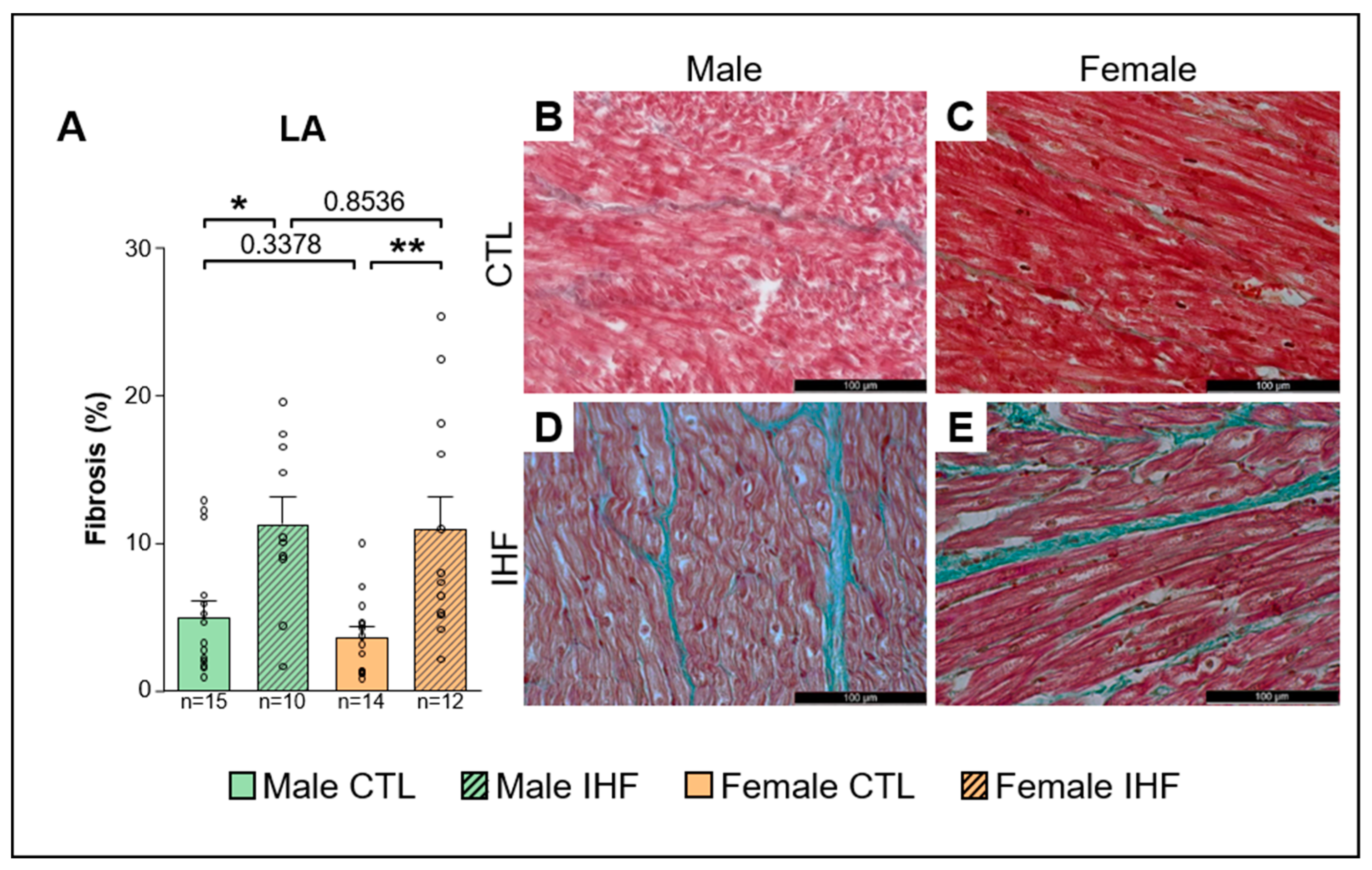 Cells 12 00973 g009 Cells 12 00973 g009