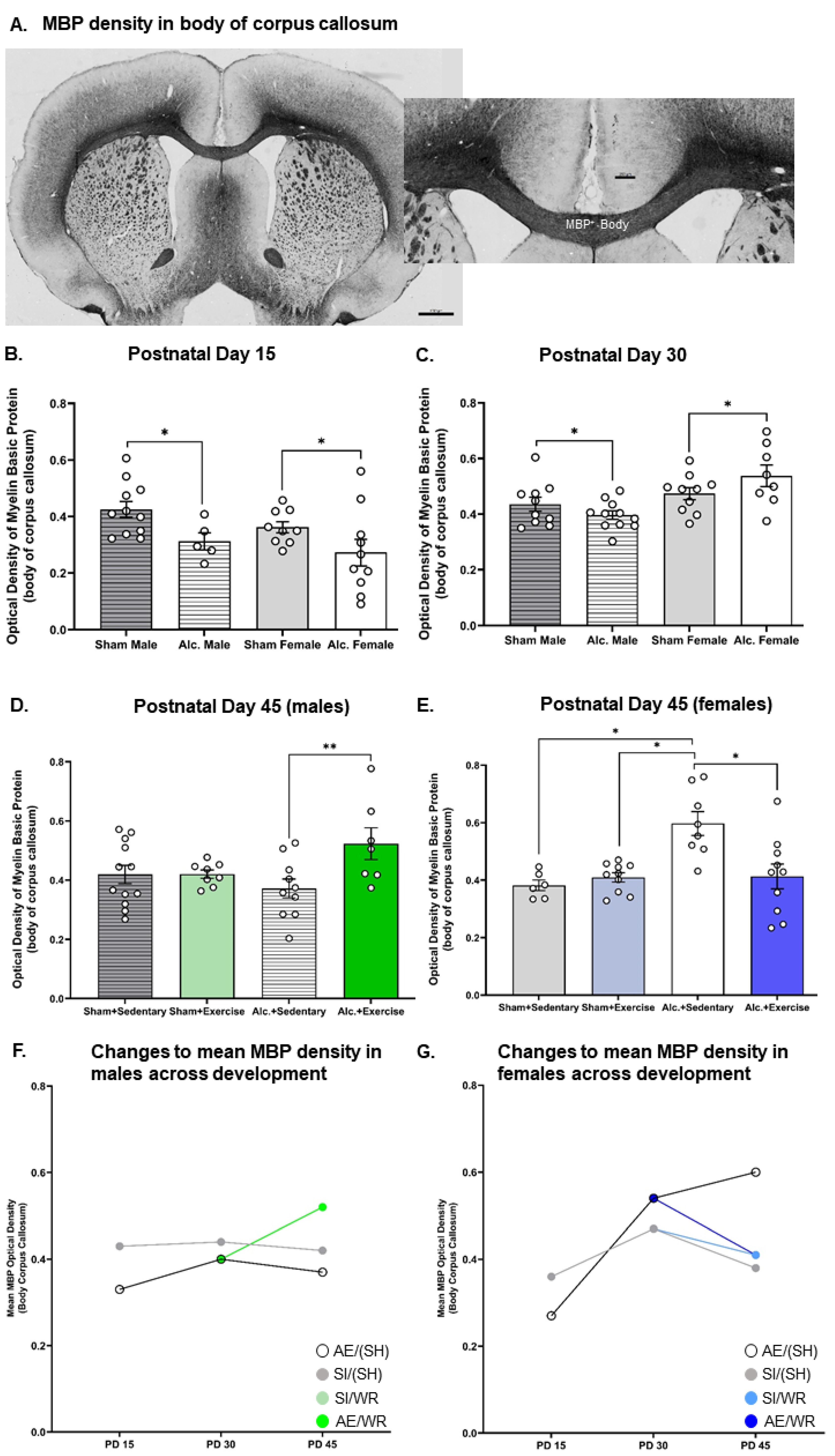 Cells 12 00975 g004 Cells 12 00975 g004