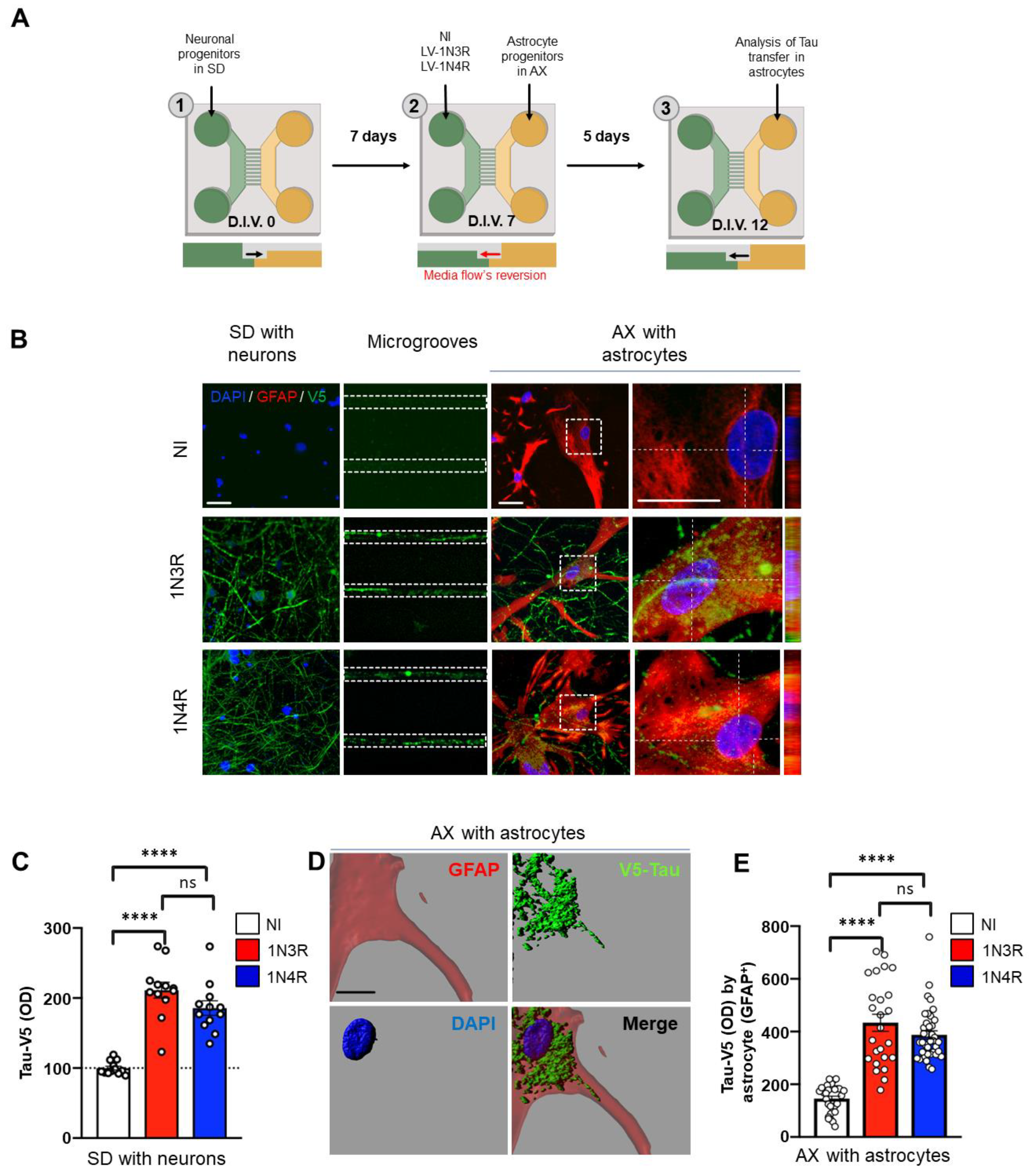 Cells 12 00985 g001 Cells 12 00985 g001