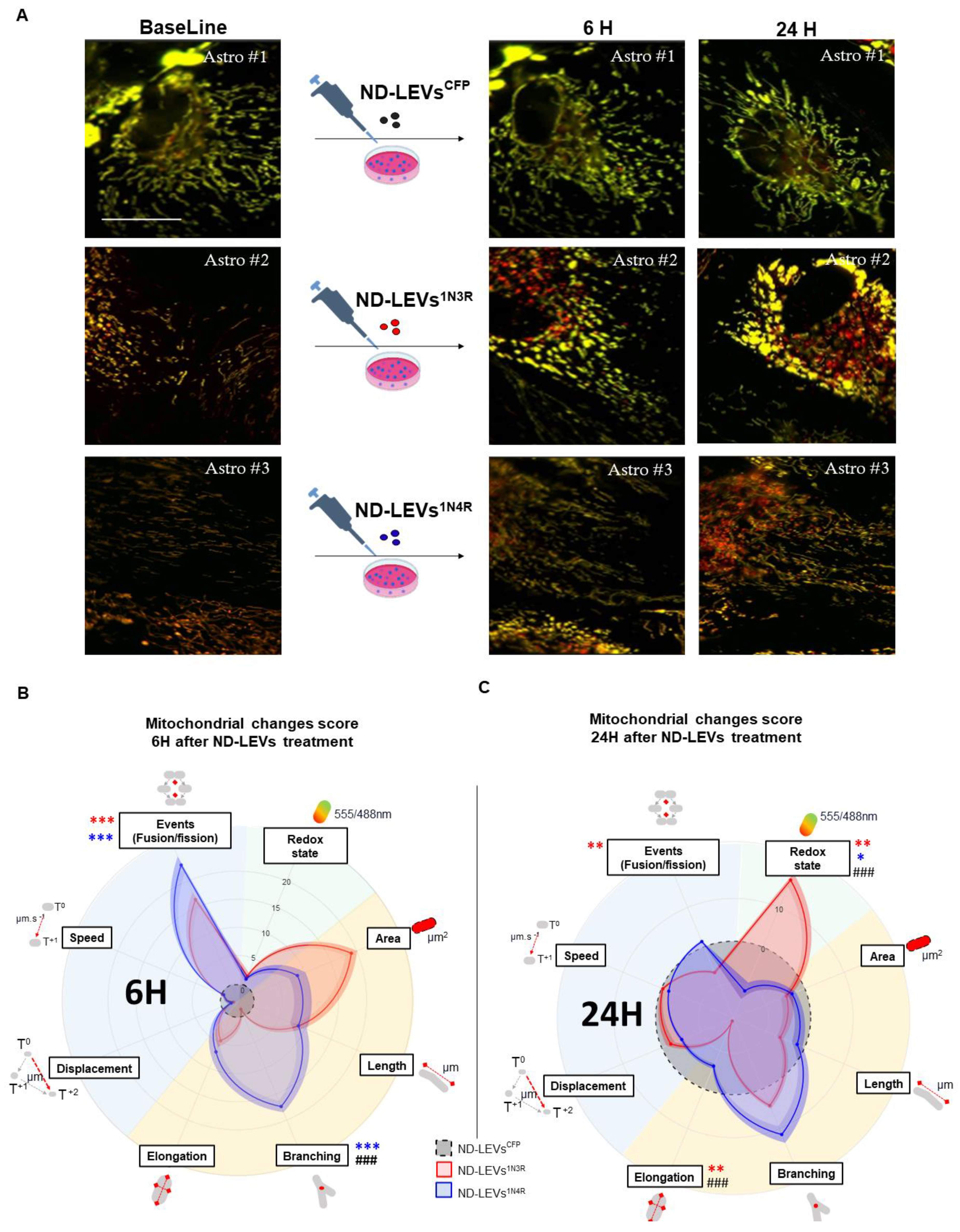 Cells 12 00985 g004 Cells 12 00985 g004