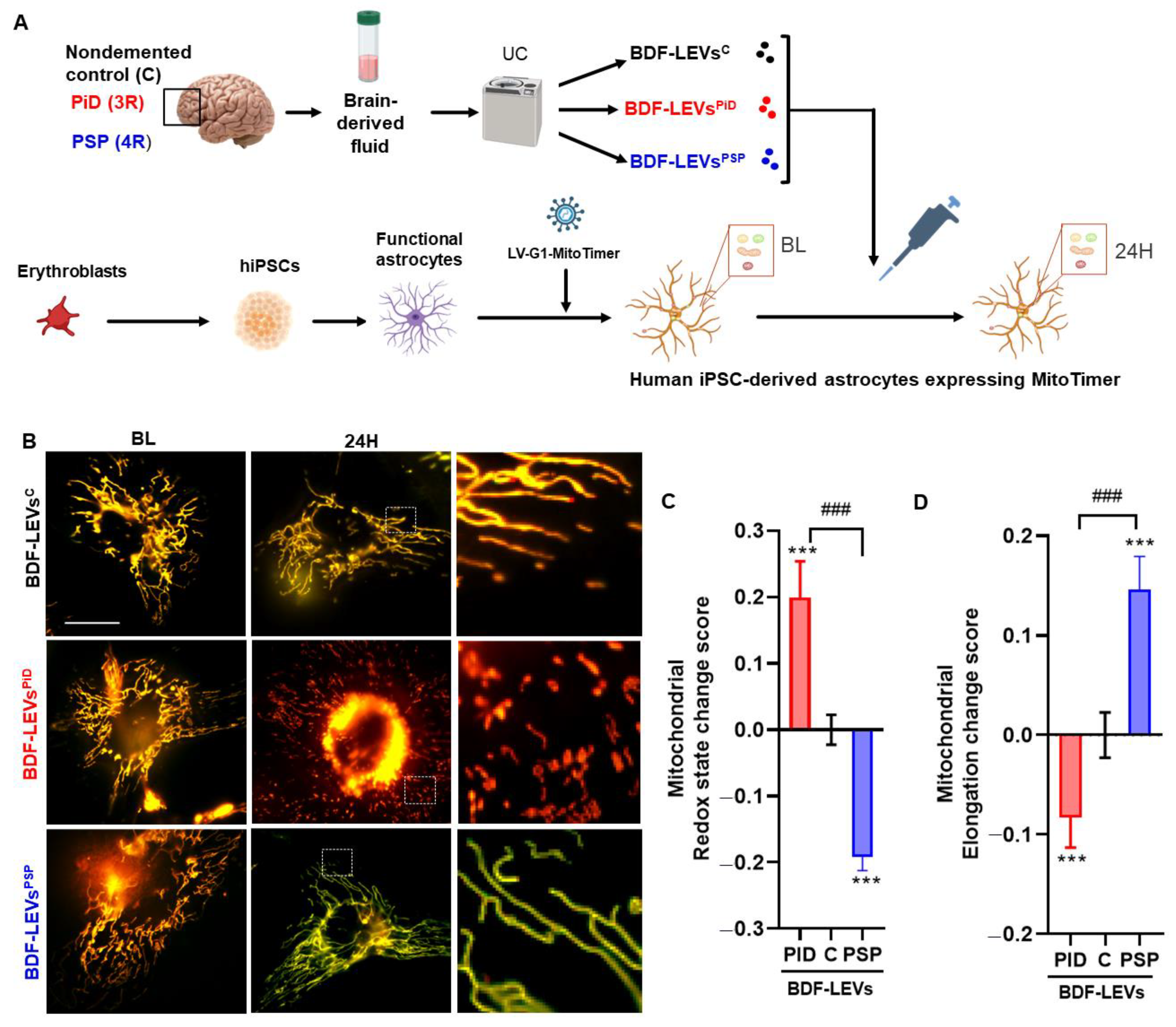 Cells 12 00985 g005 Cells 12 00985 g005